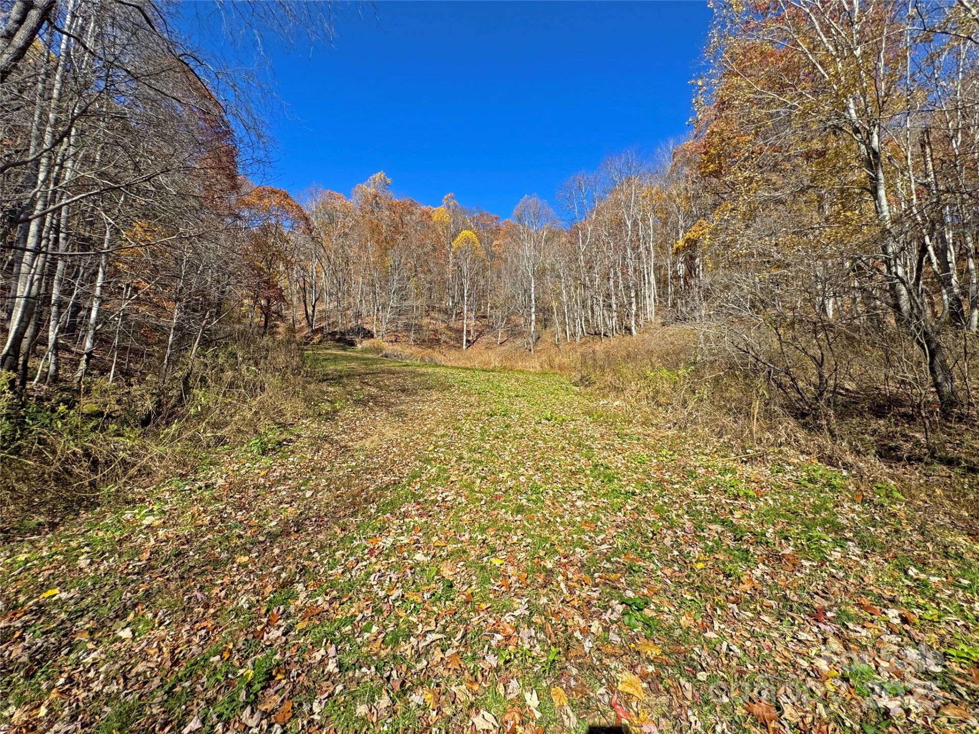 890 Panther Branch Road - Photo 12