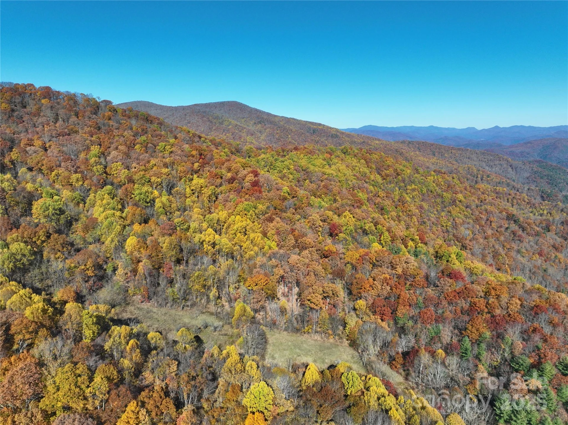 890 Panther Branch Road - Photo 13