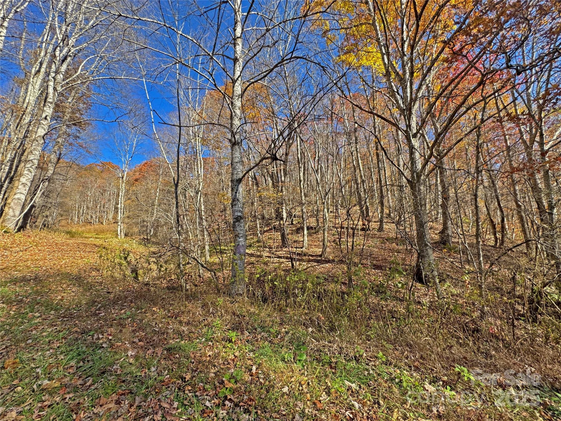 890 Panther Branch Road - Photo 14