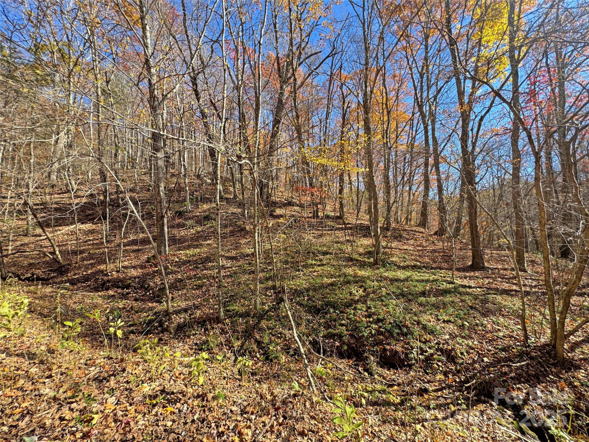 890 Panther Branch Road - Photo 15