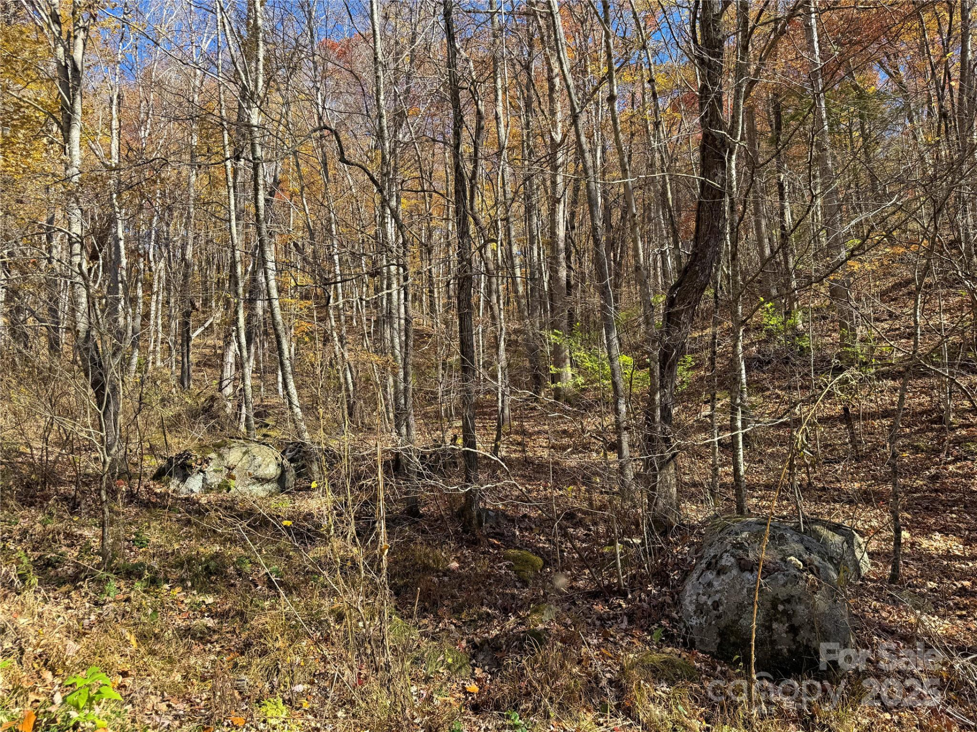 890 Panther Branch Road - Photo 16