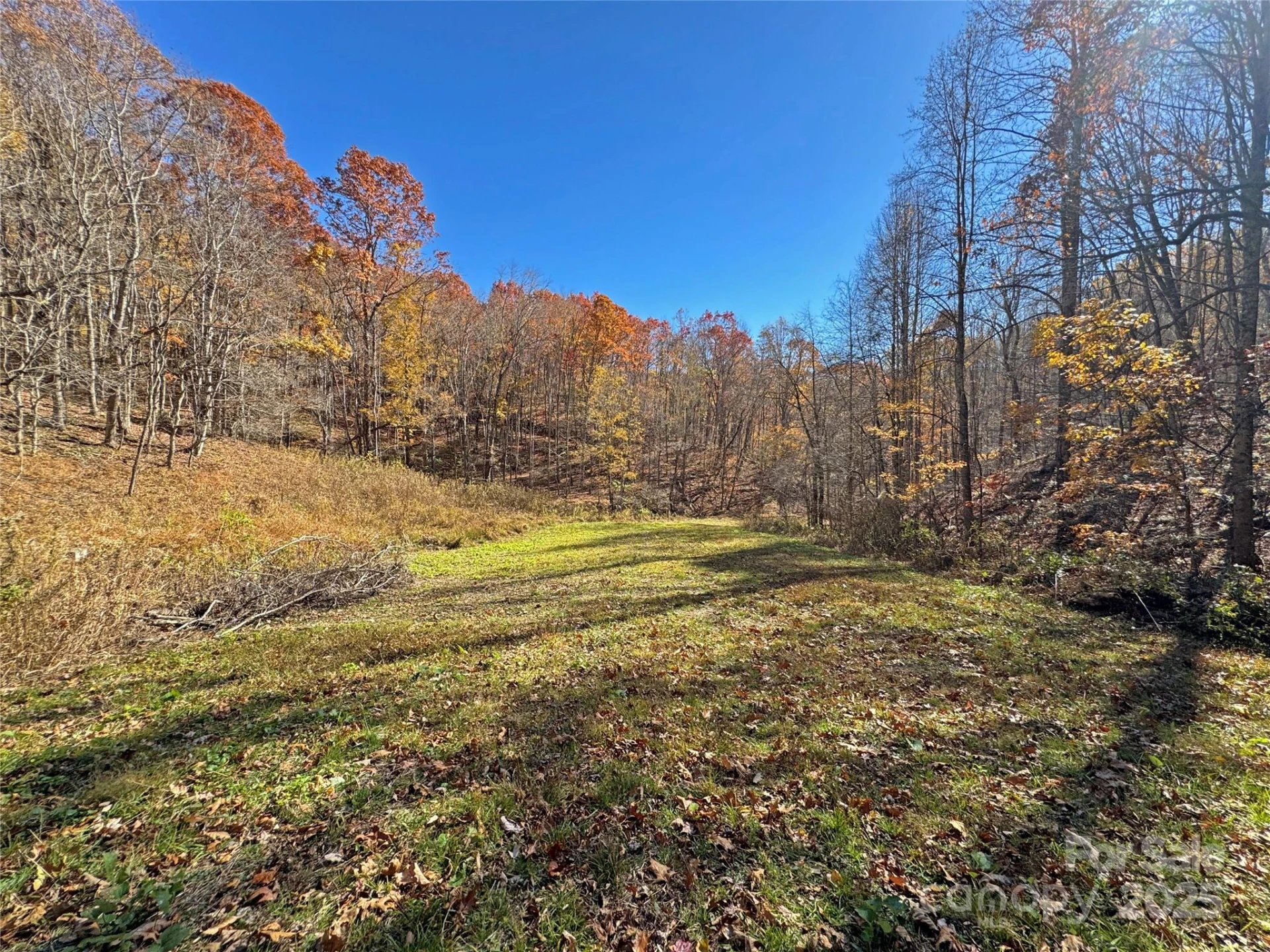 890 Panther Branch Road - Photo 17
