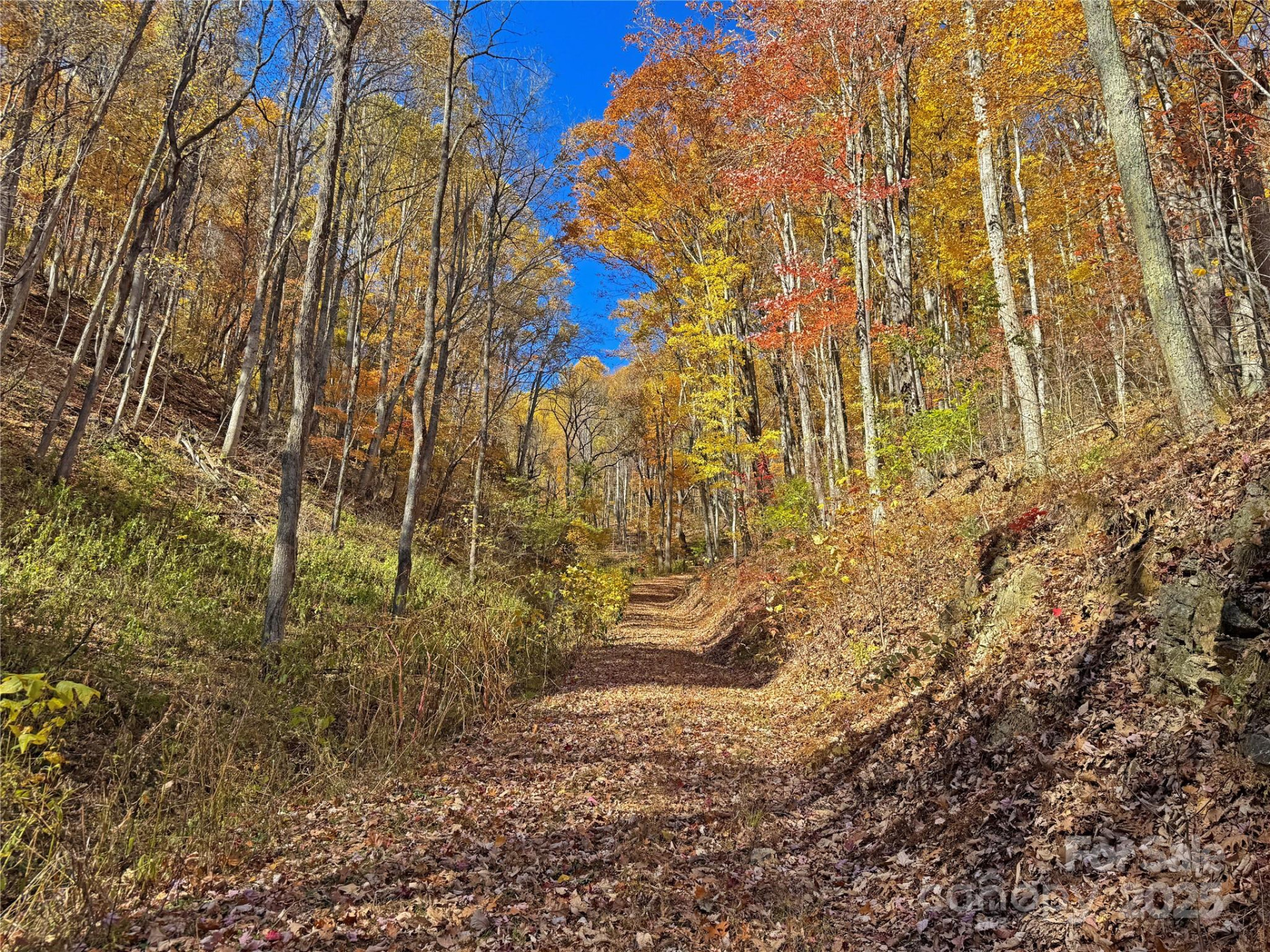 890 Panther Branch Road - Photo 18