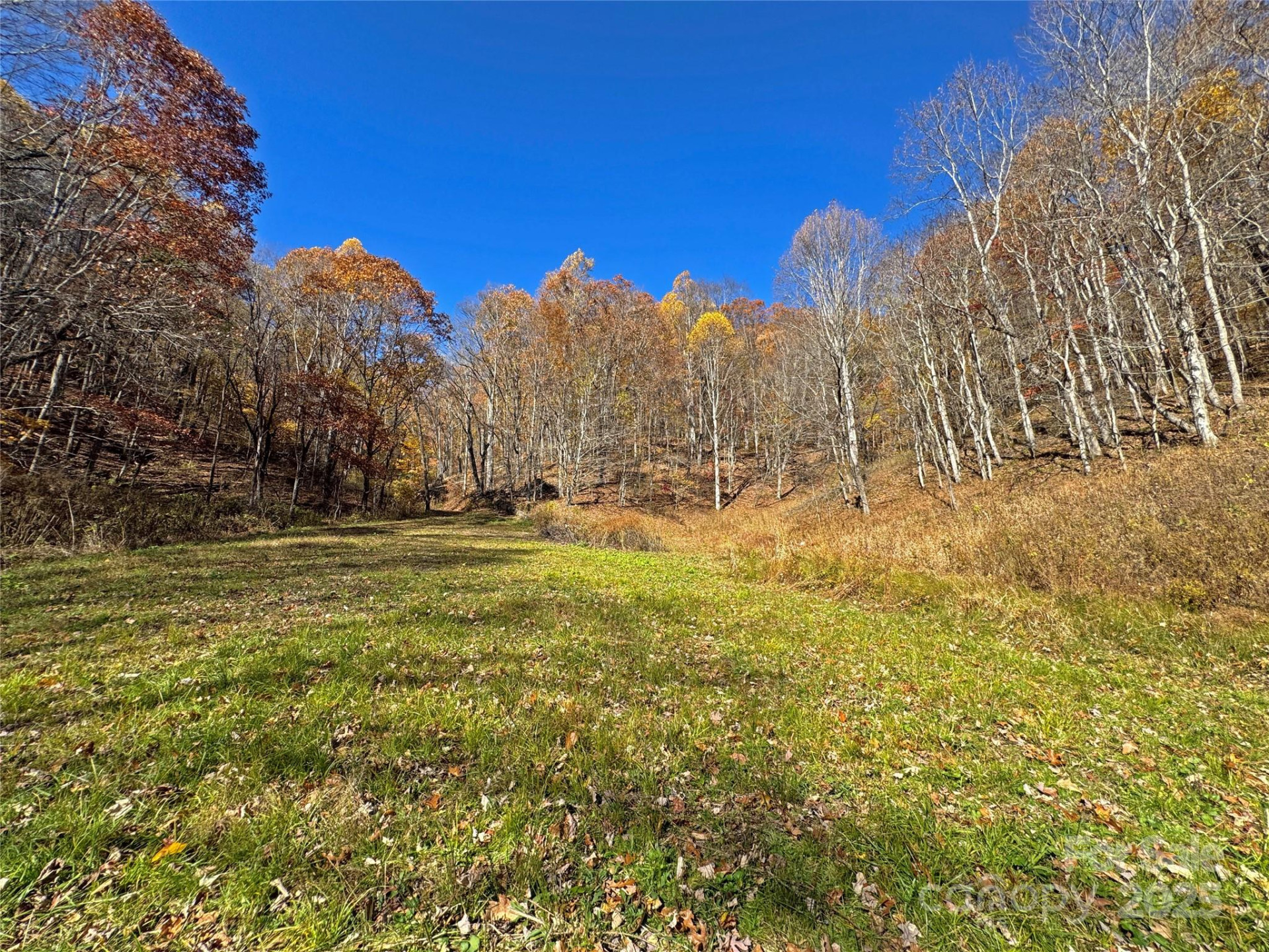 890 Panther Branch Road - Photo 19