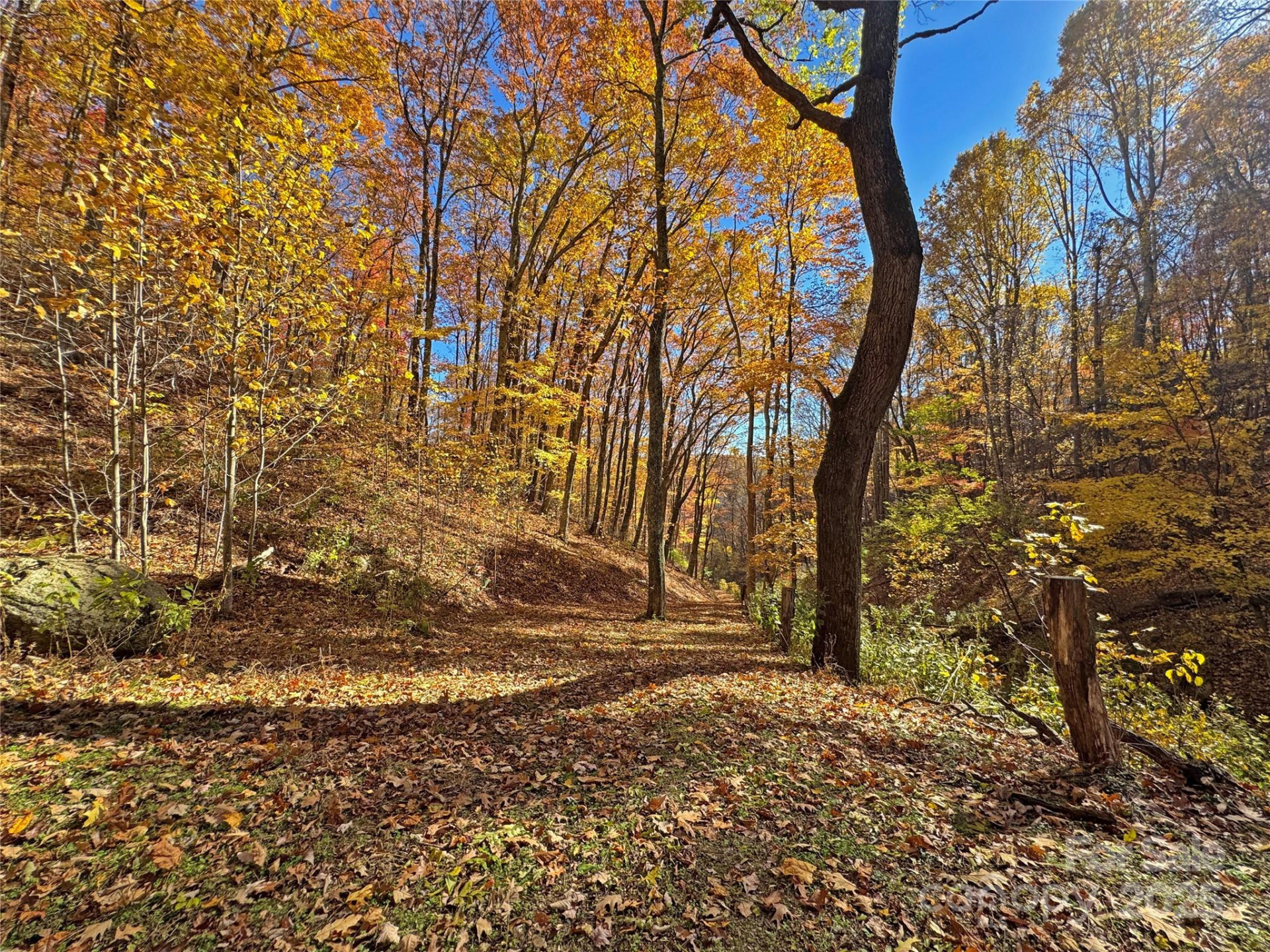 890 Panther Branch Road - Photo 20