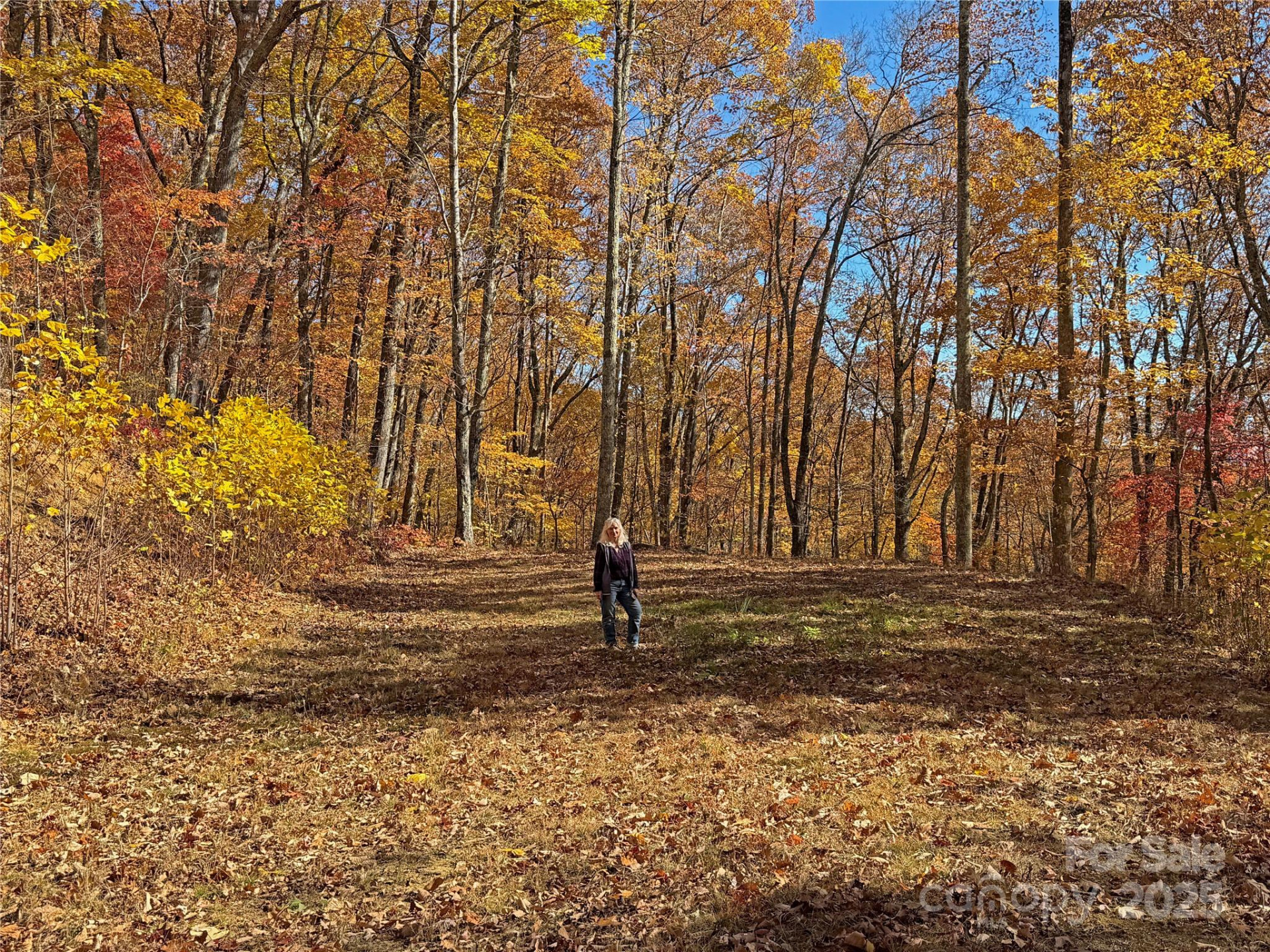 890 Panther Branch Road - Photo 3