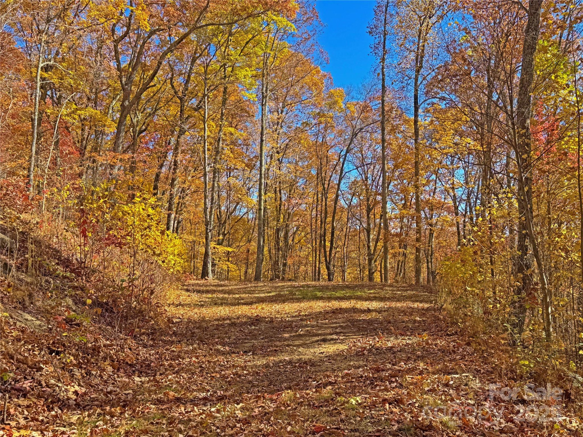 890 Panther Branch Road - Photo 21