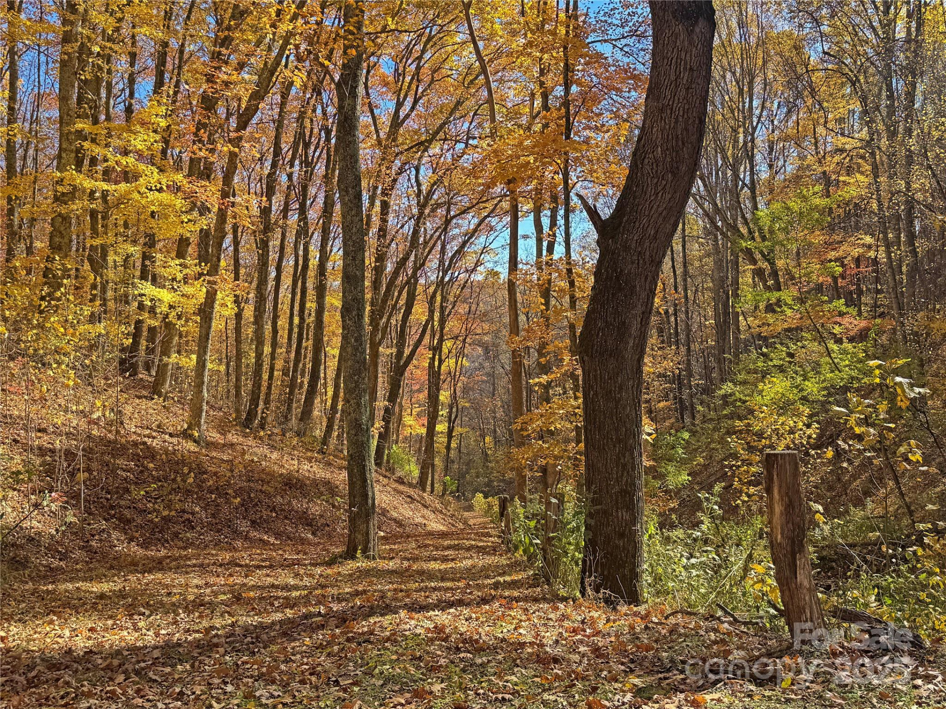 890 Panther Branch Road - Photo 22