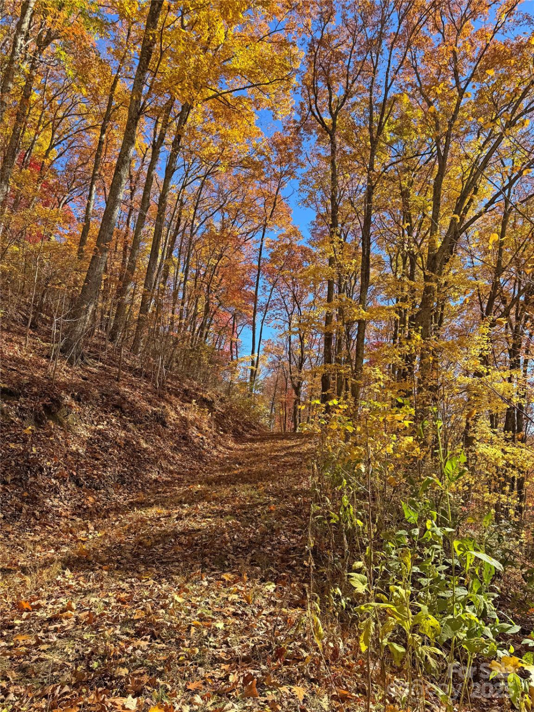 890 Panther Branch Road - Photo 23