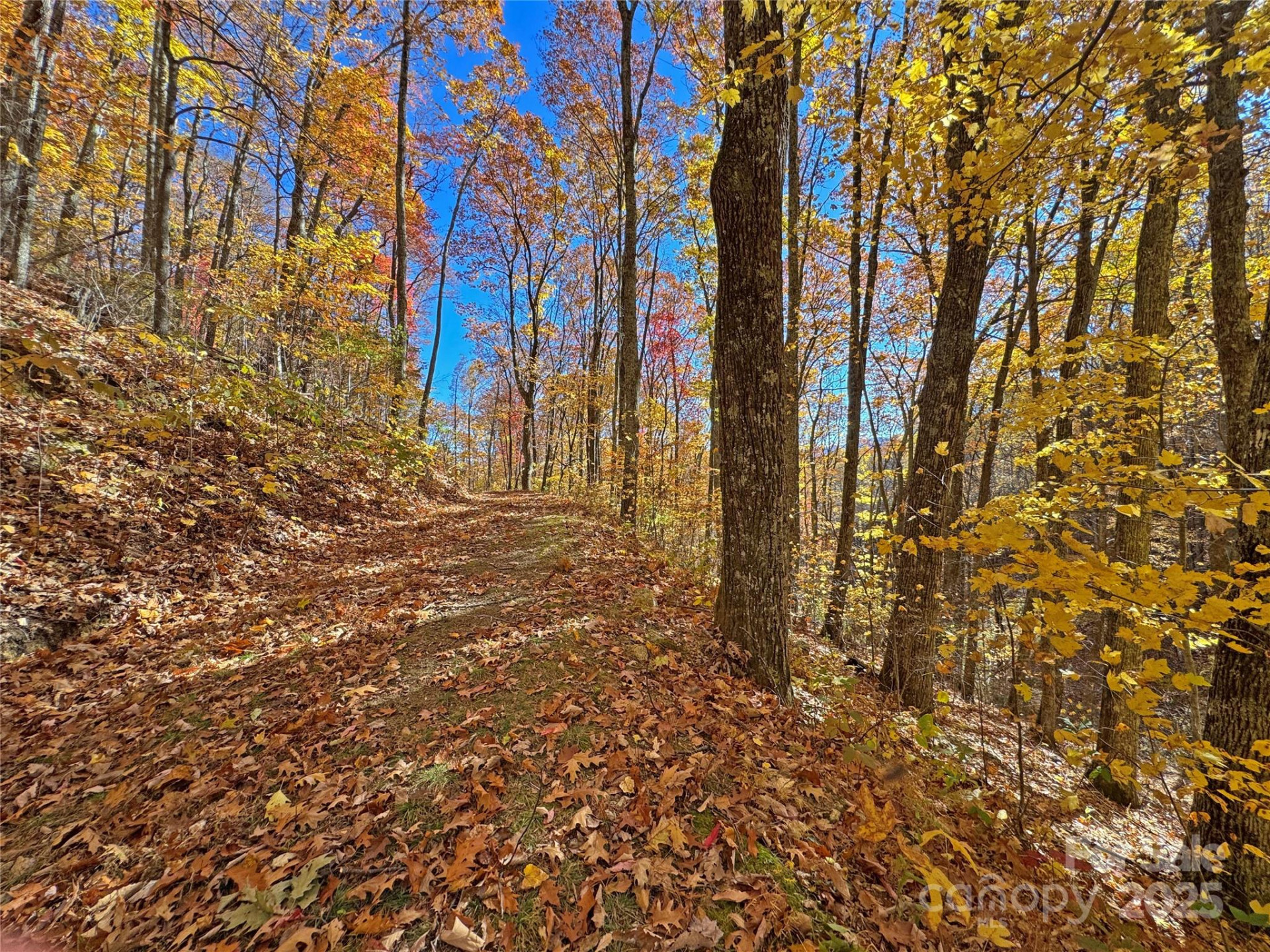 890 Panther Branch Road - Photo 24