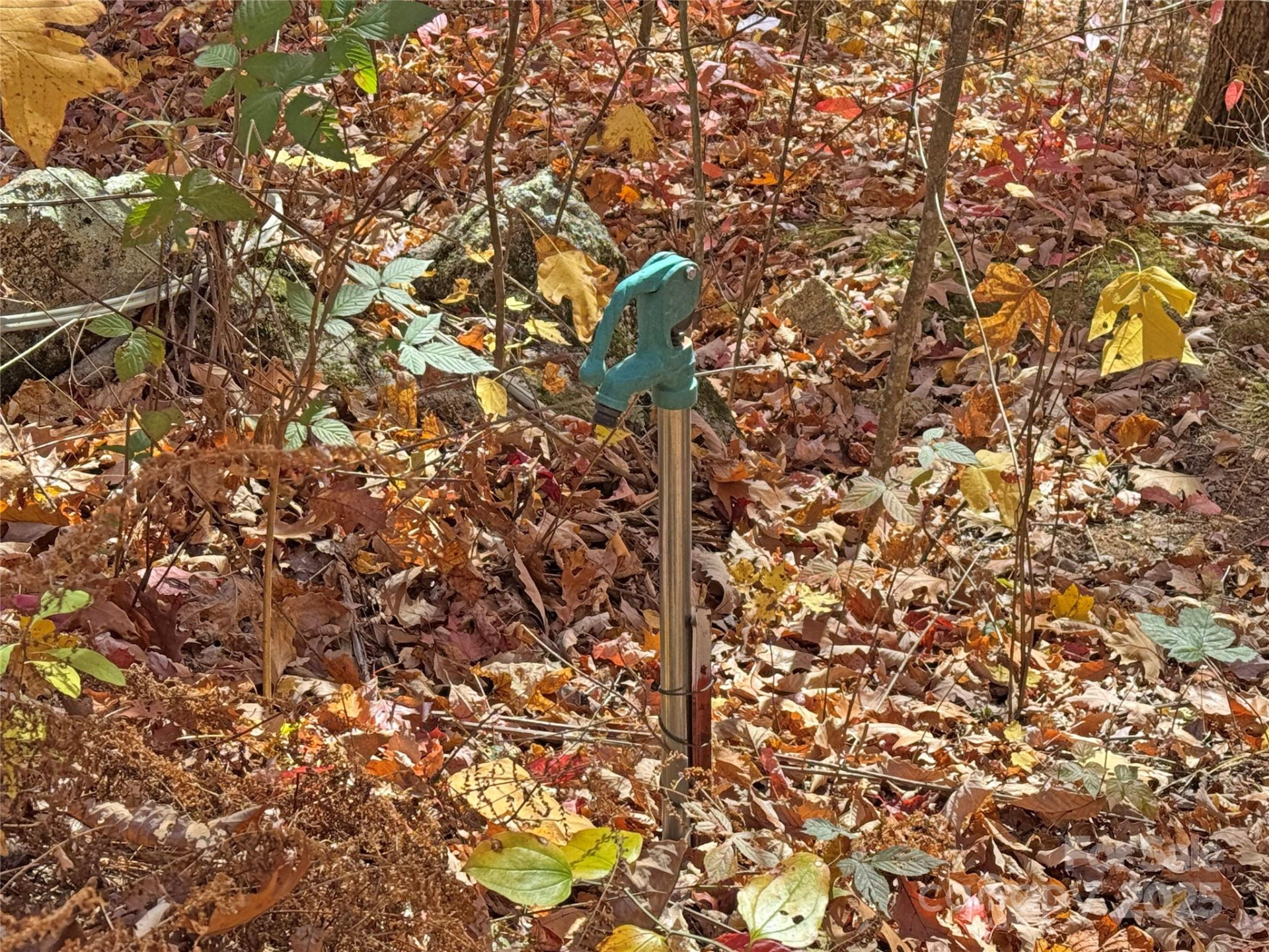 890 Panther Branch Road - Photo 27