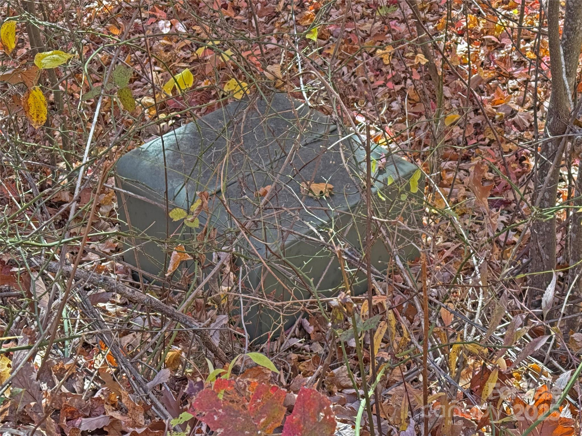 890 Panther Branch Road - Photo 28