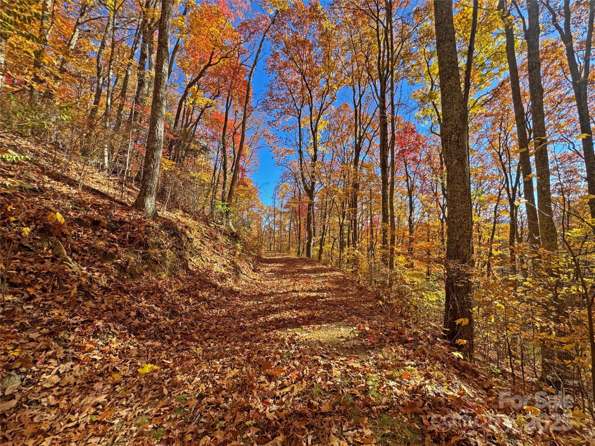 890 Panther Branch Road - Photo 29