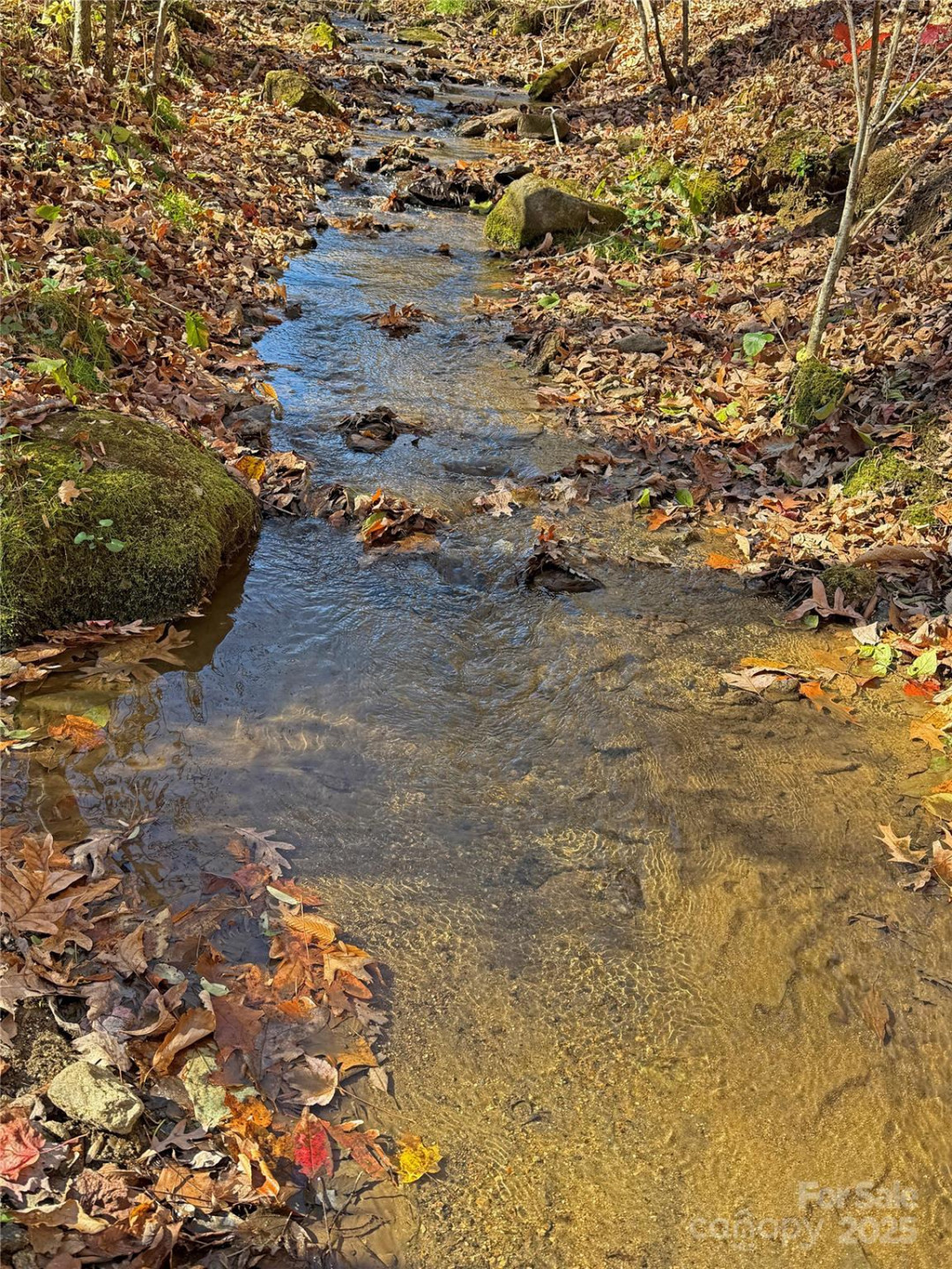 890 Panther Branch Road - Photo 30