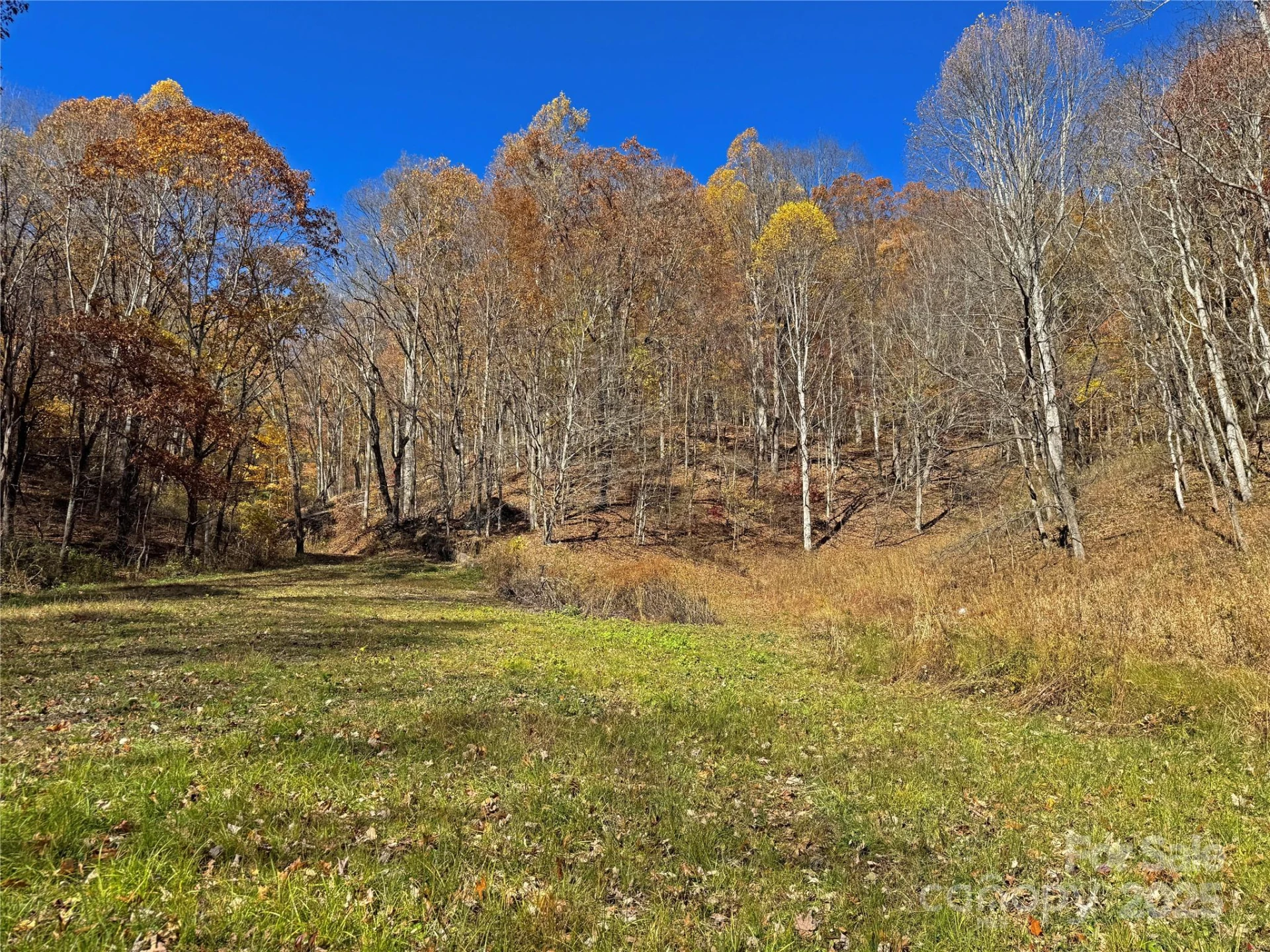 890 Panther Branch Road - Photo 4