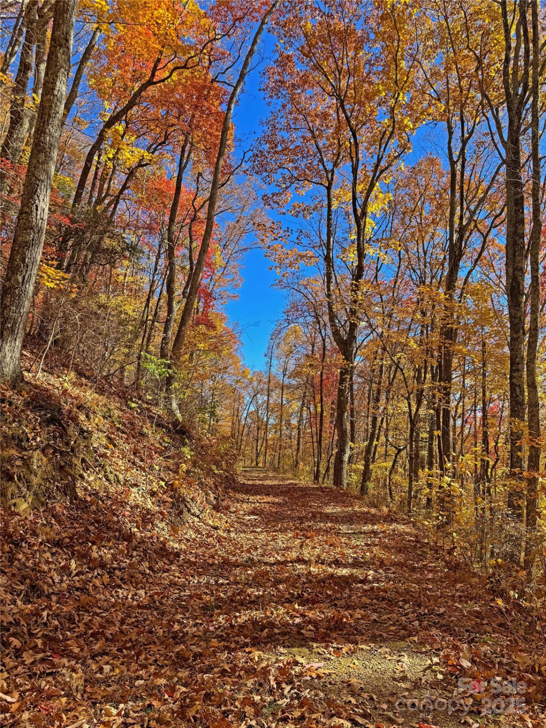 890 Panther Branch Road - Photo 31