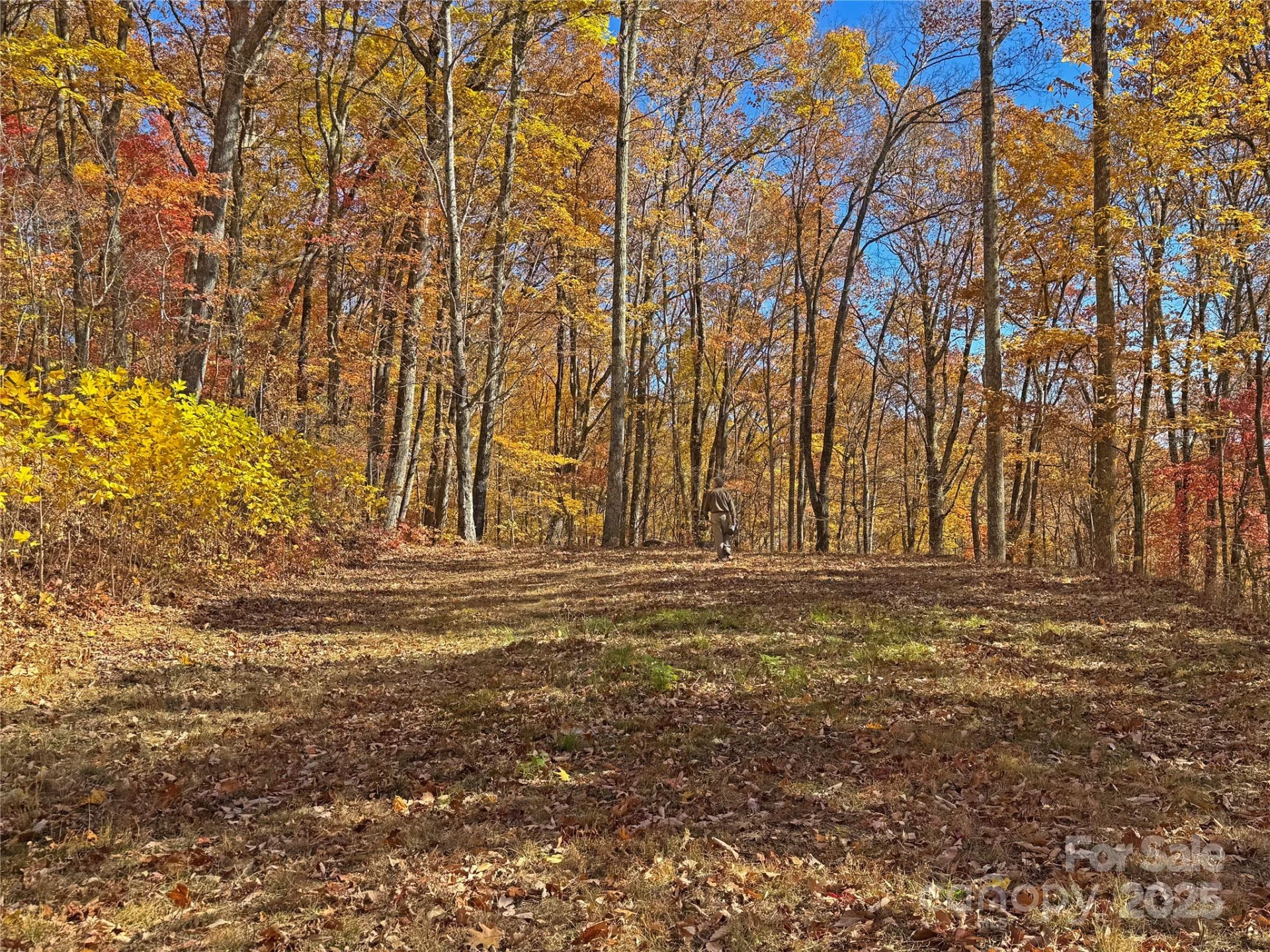 890 Panther Branch Road - Photo 32