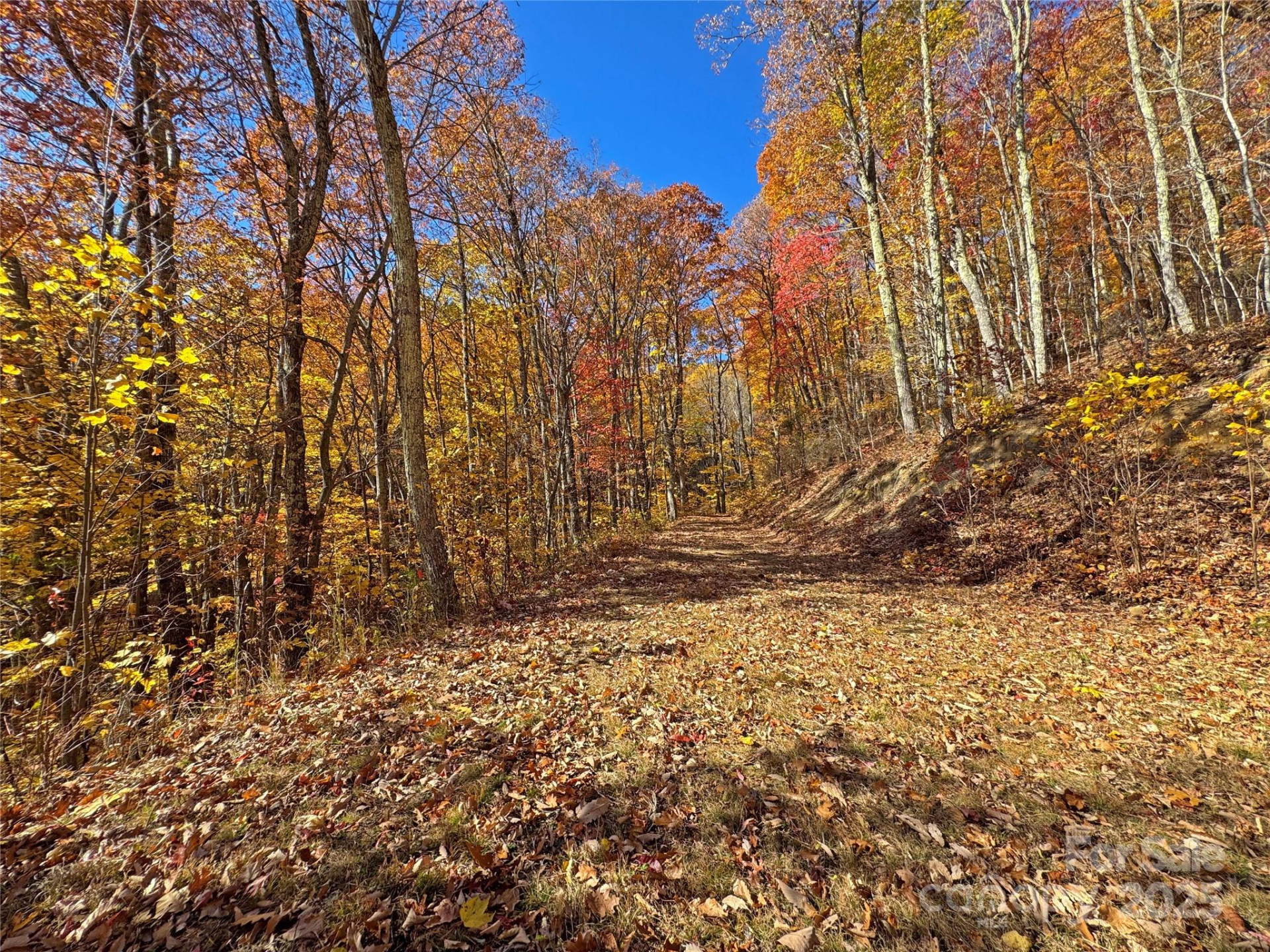 890 Panther Branch Road - Photo 33