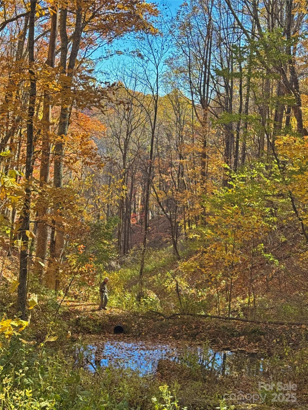 890 Panther Branch Road - Photo 34