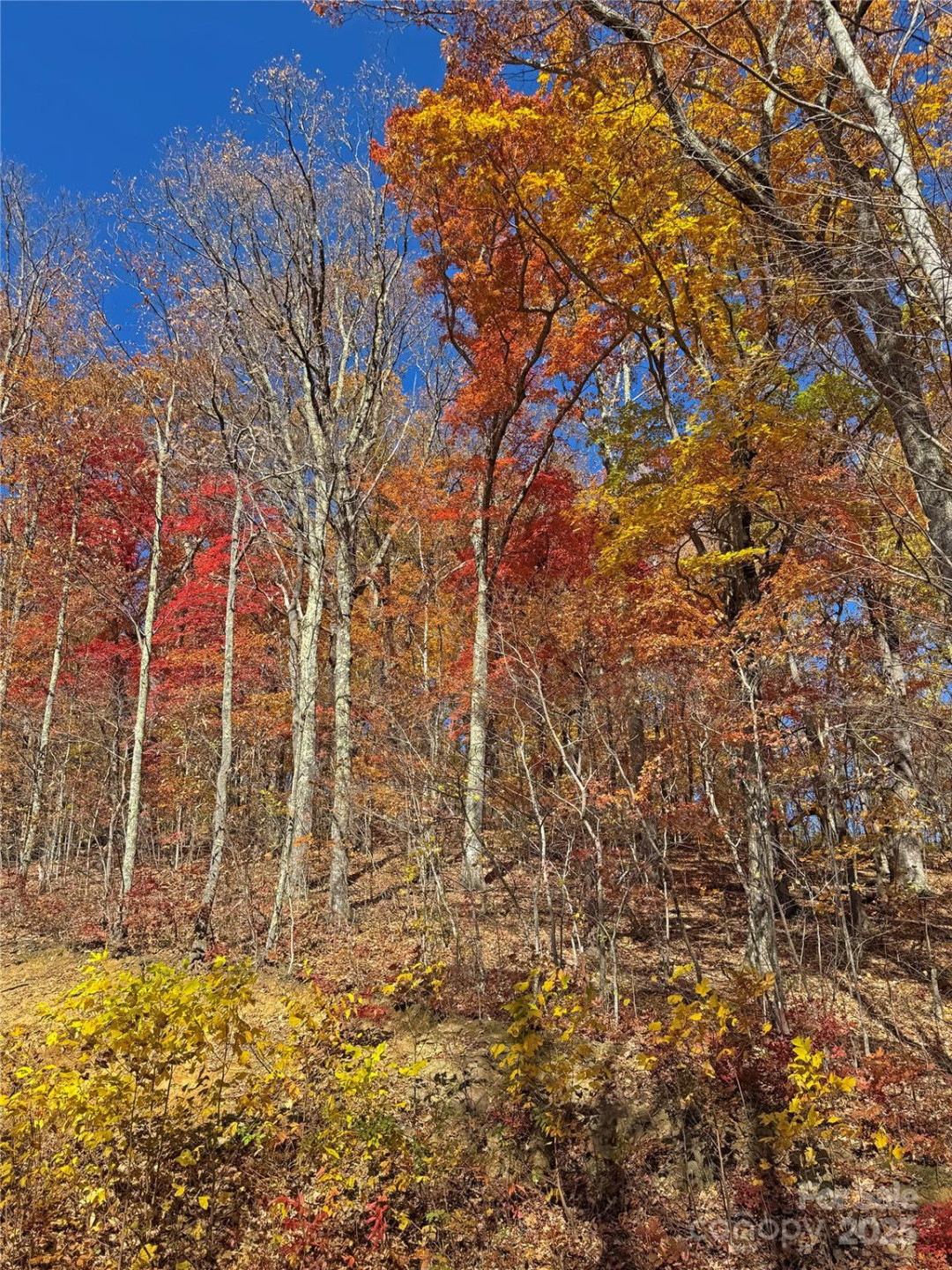 890 Panther Branch Road - Photo 35