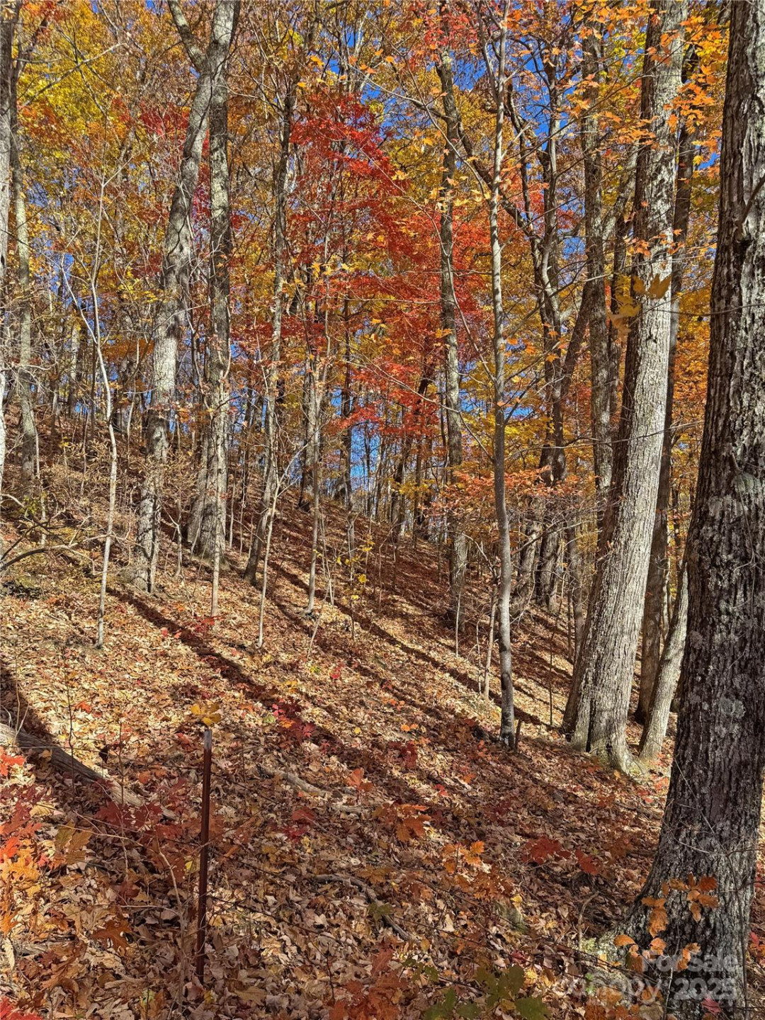 890 Panther Branch Road - Photo 36