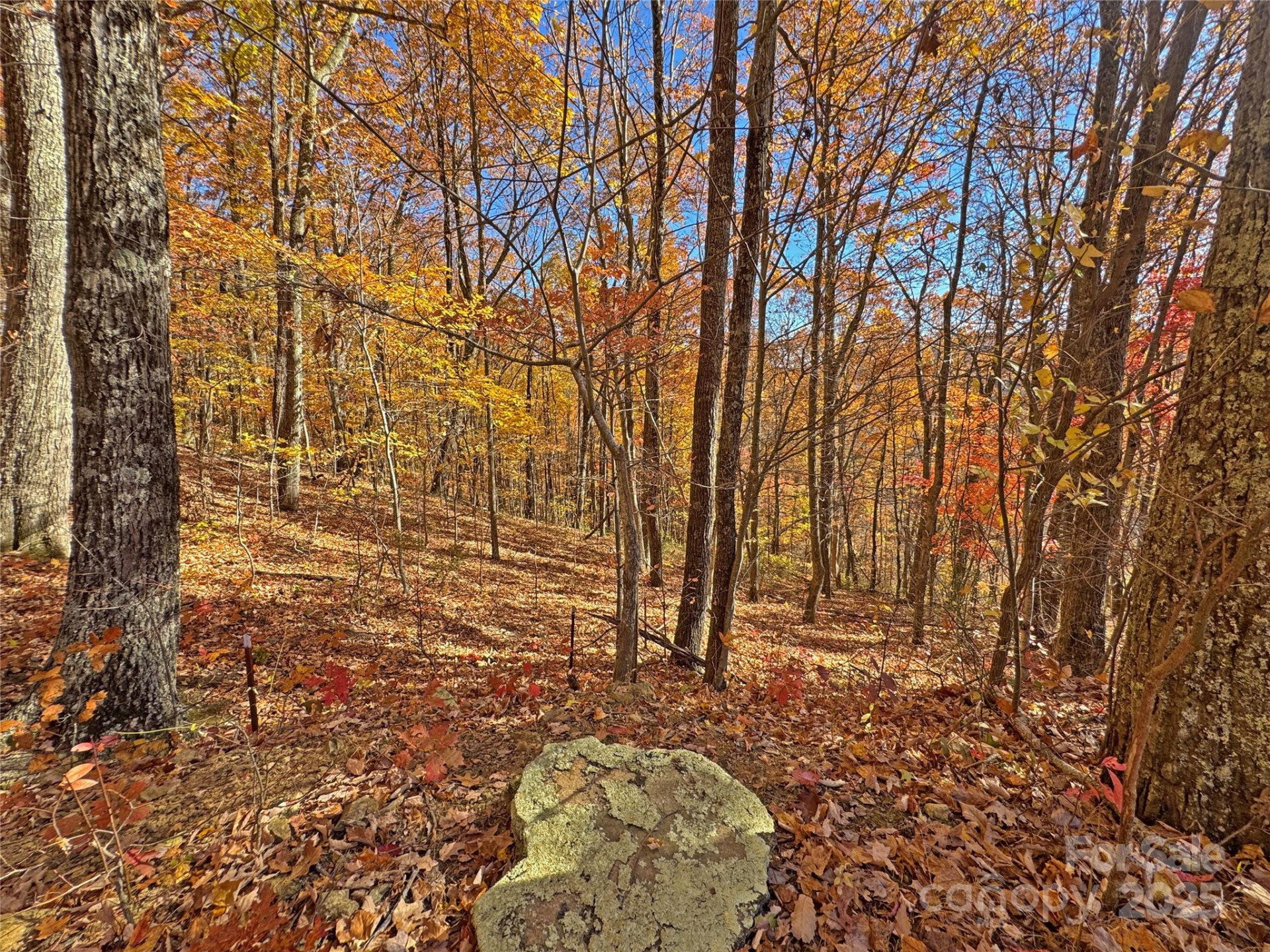 890 Panther Branch Road - Photo 37