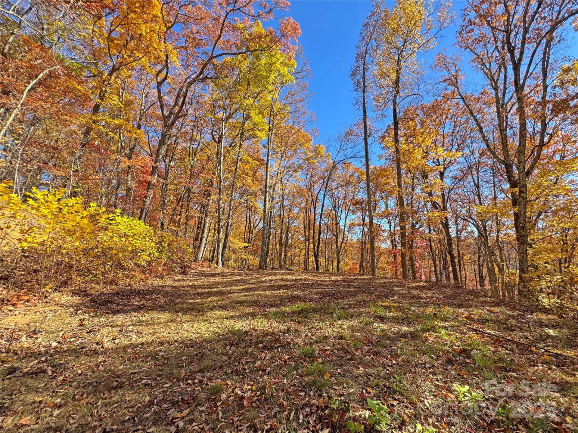 890 Panther Branch Road - Photo 38