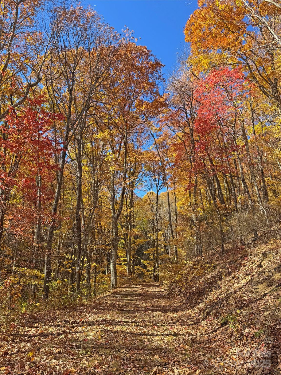 890 Panther Branch Road - Photo 39