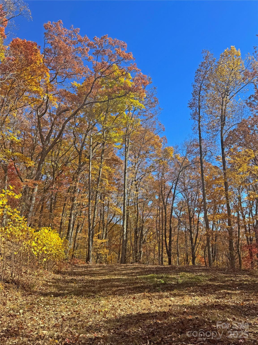 890 Panther Branch Road - Photo 40