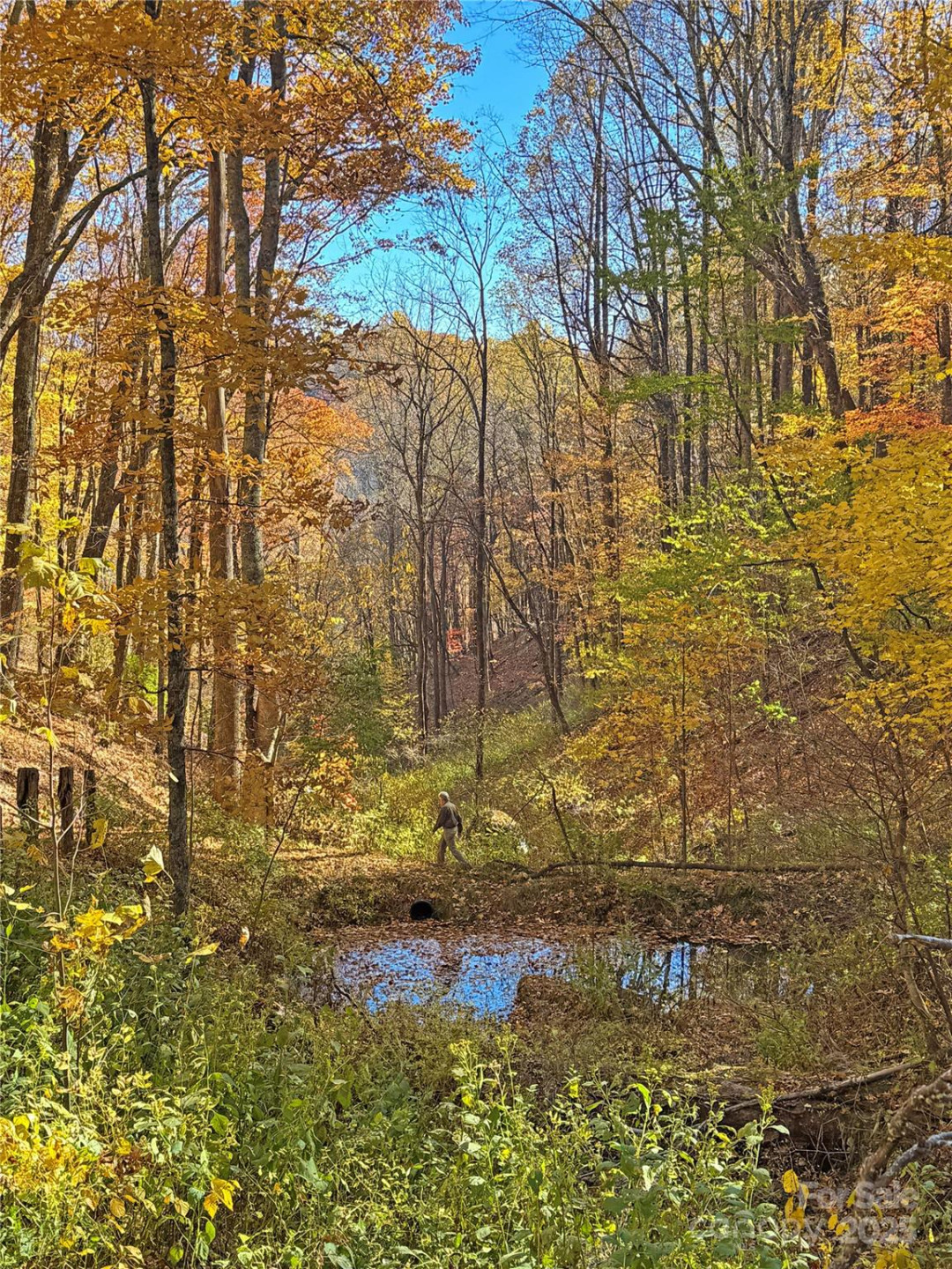 890 Panther Branch Road - Photo 5