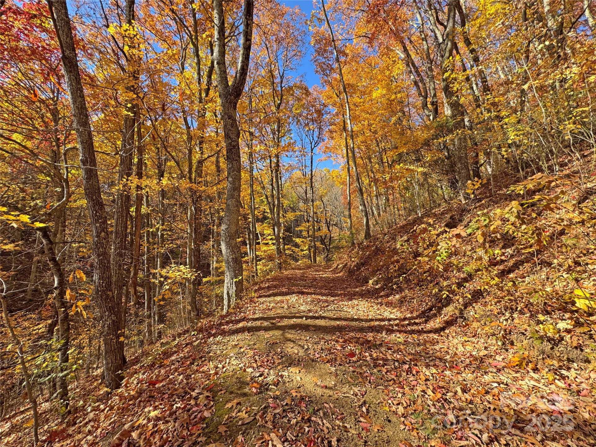 890 Panther Branch Road - Photo 41