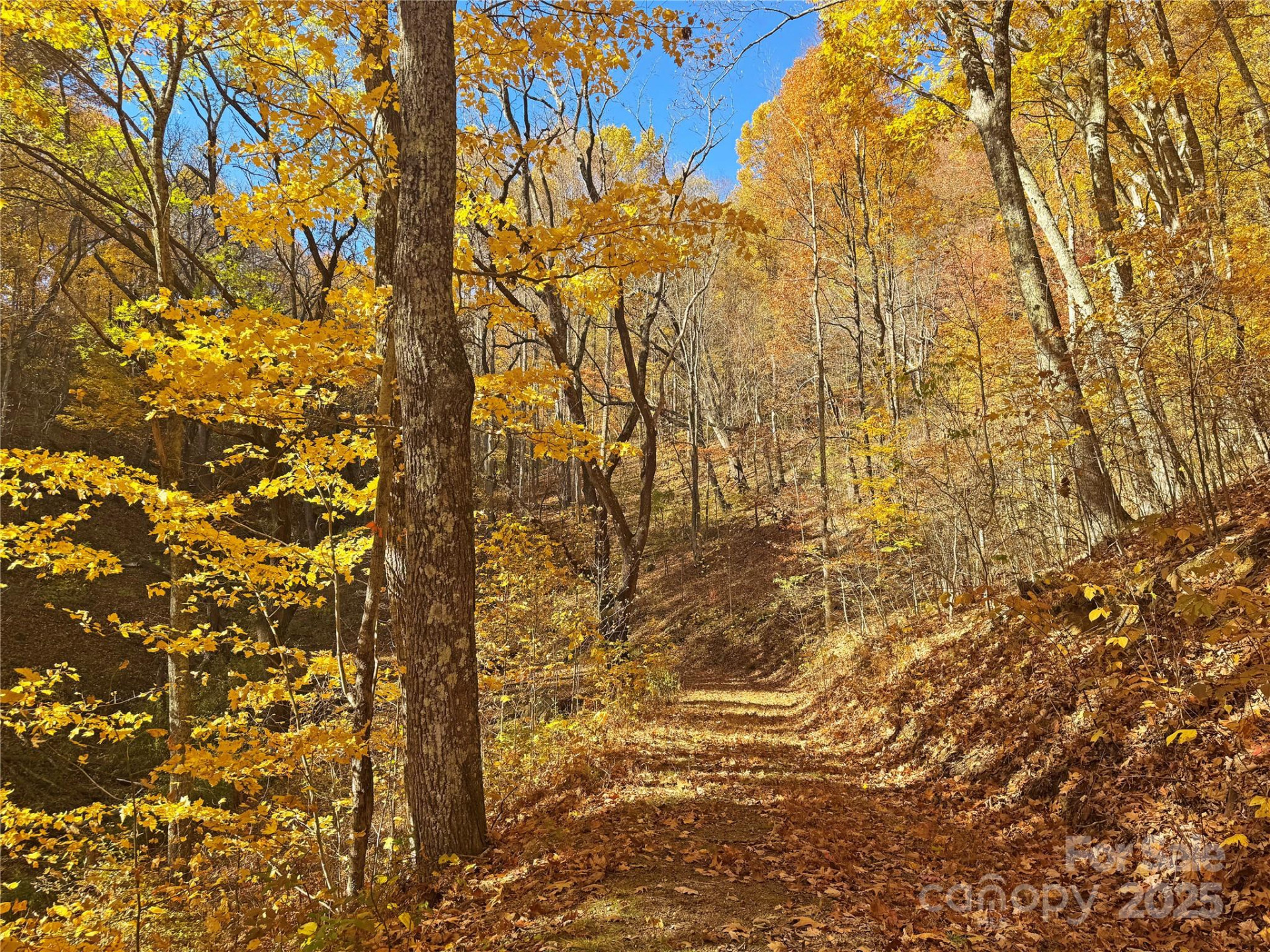 890 Panther Branch Road - Photo 42