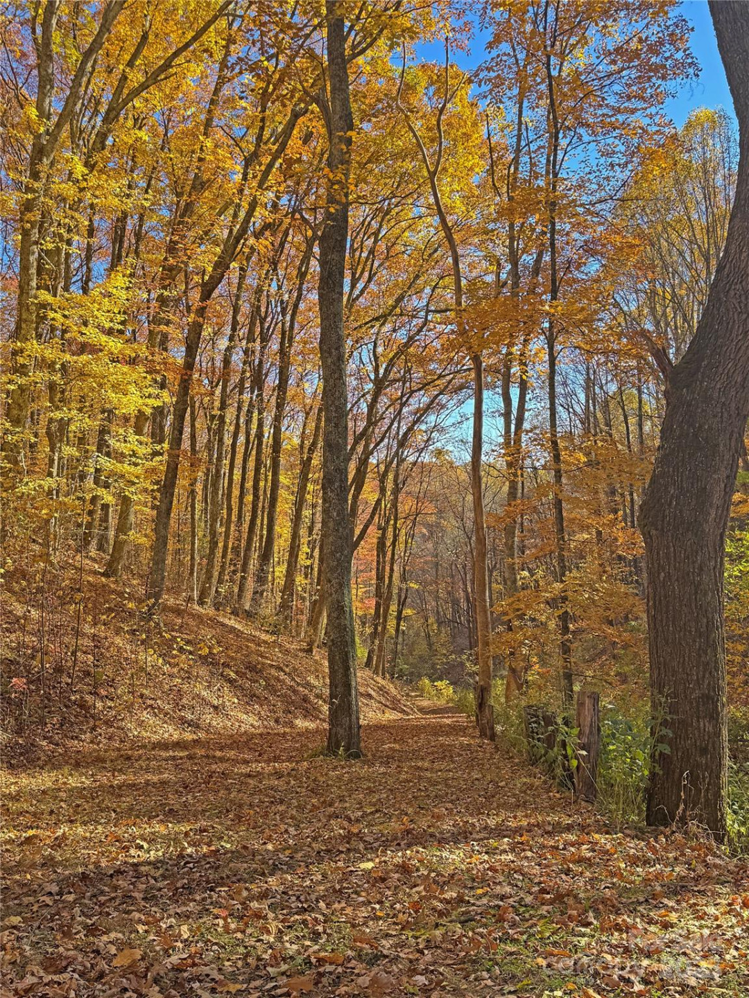 890 Panther Branch Road - Photo 43