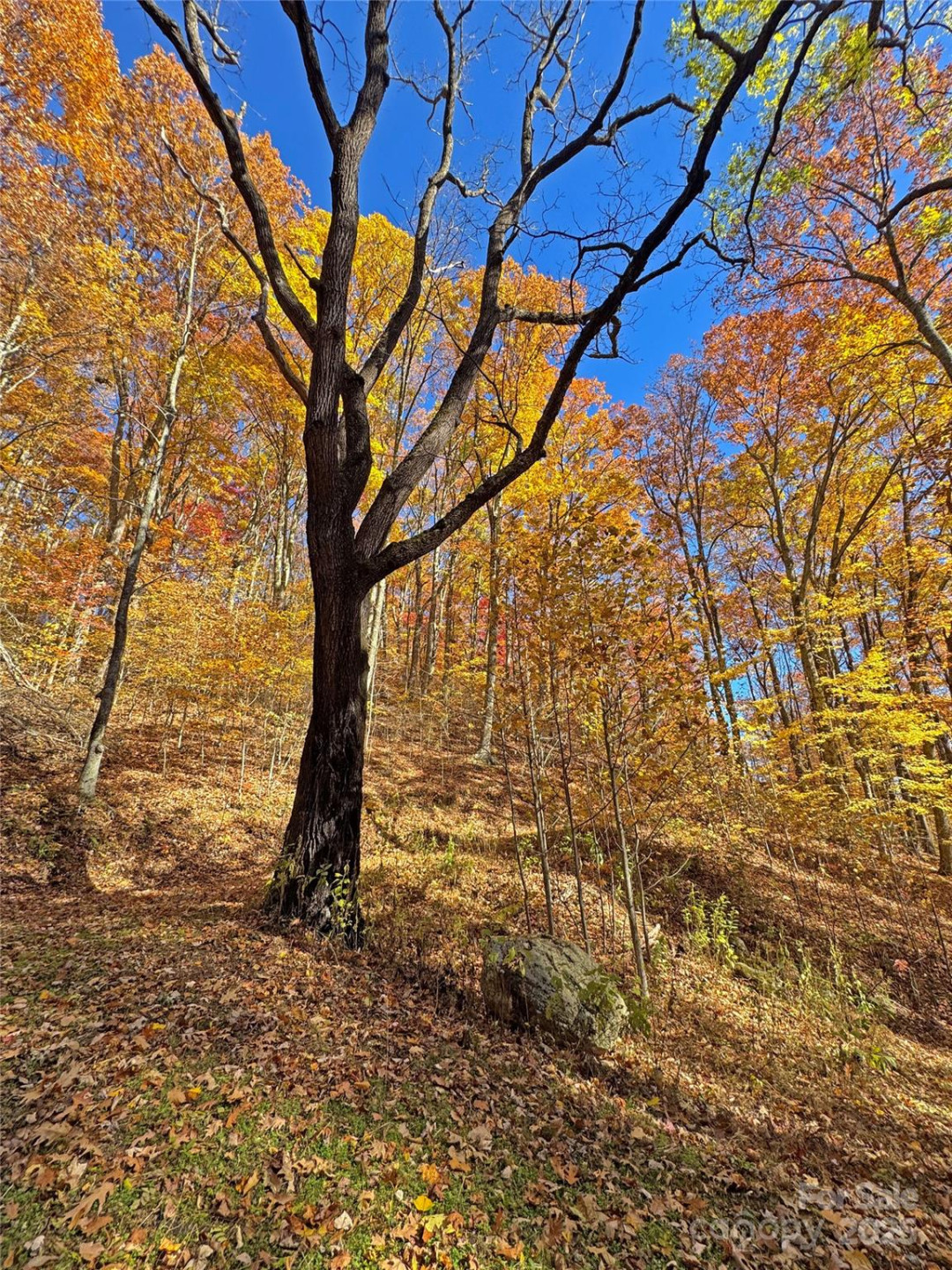 890 Panther Branch Road - Photo 44