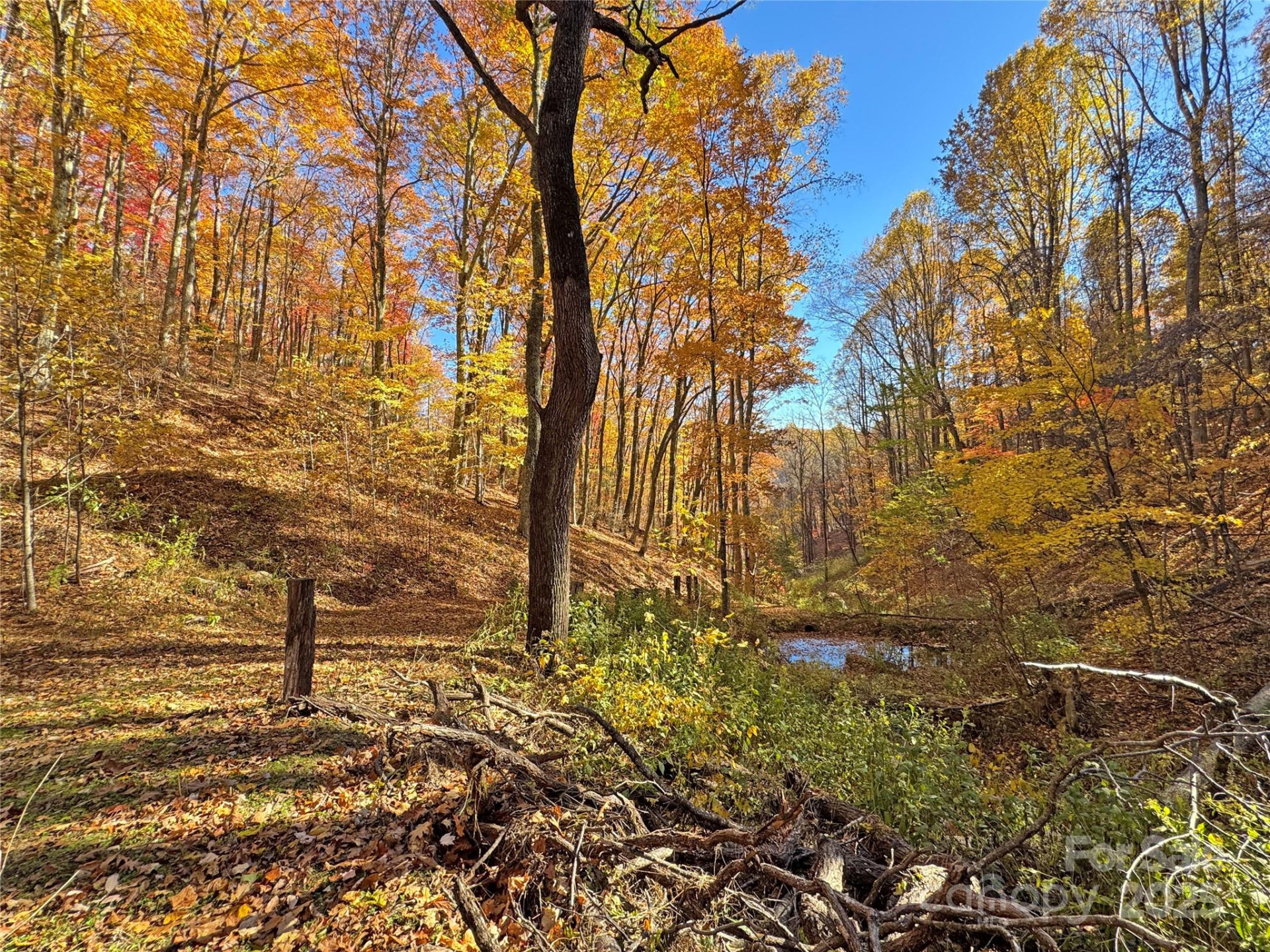 890 Panther Branch Road - Photo 45