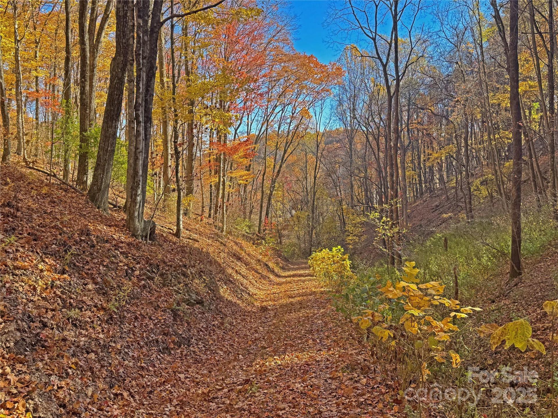 890 Panther Branch Road - Photo 46