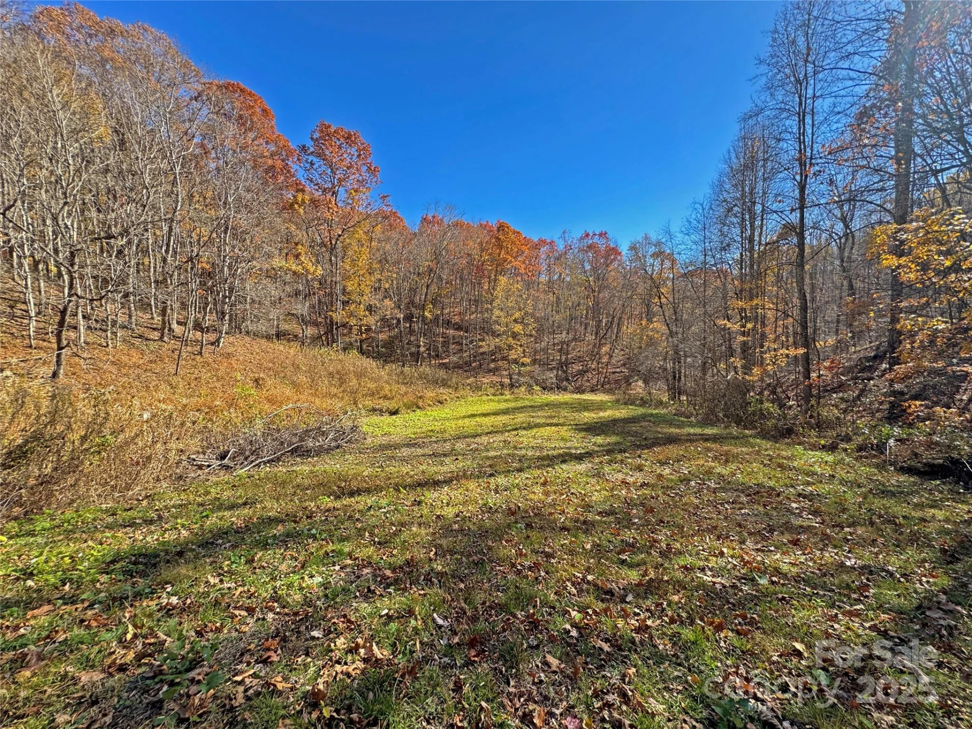 890 Panther Branch Road - Photo 47