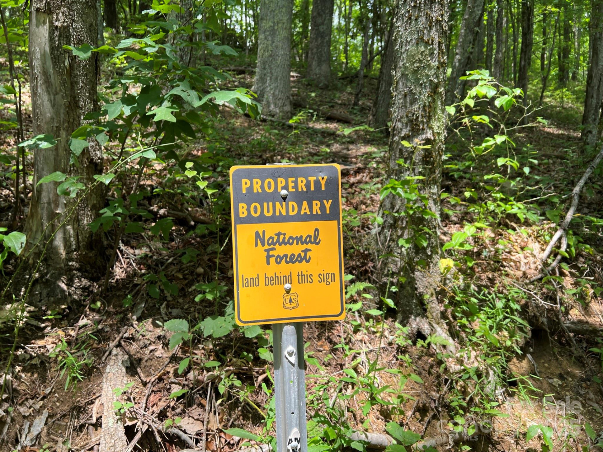 890 Panther Branch Road - Photo 6