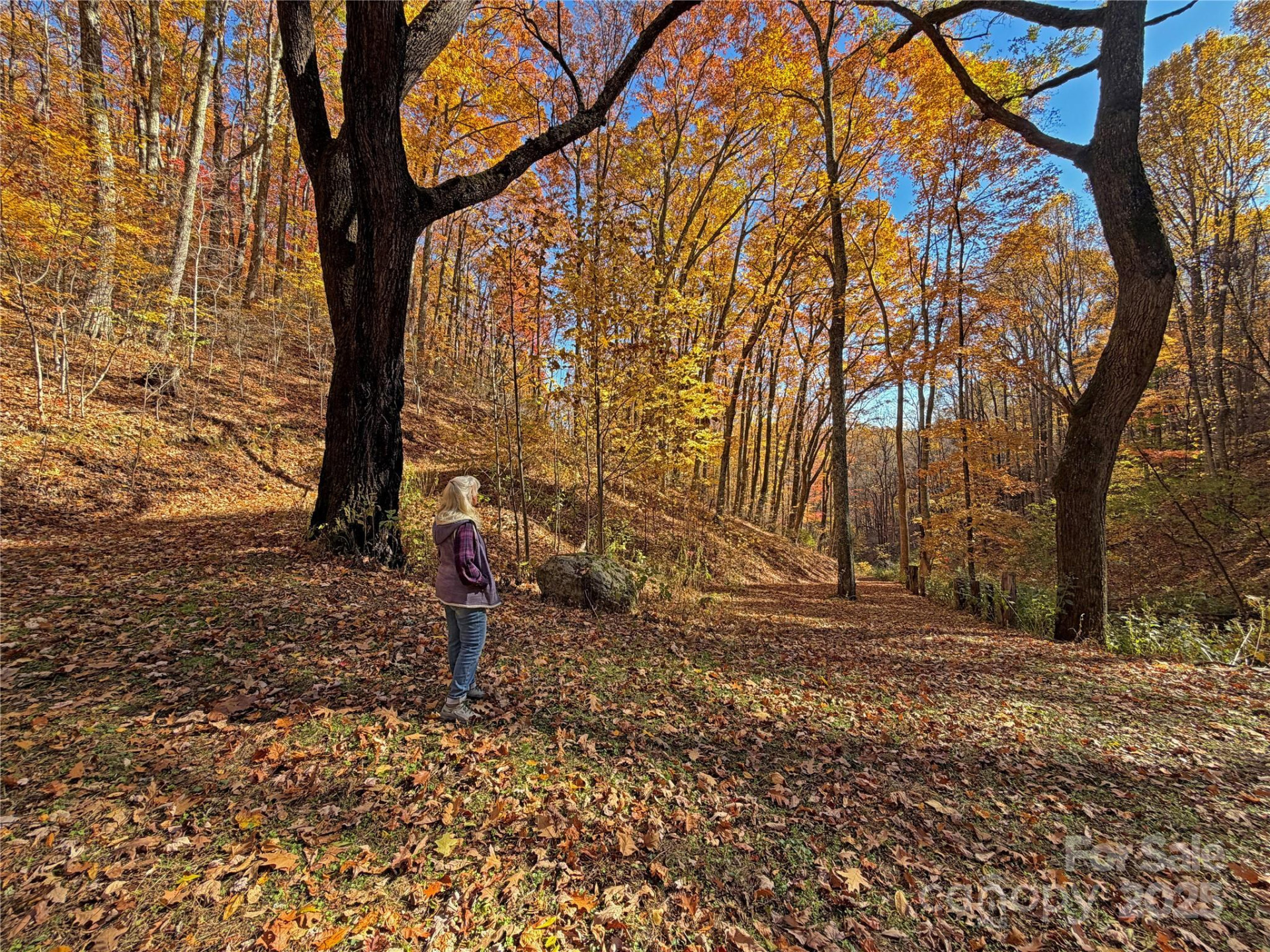 890 Panther Branch Road - Photo 7