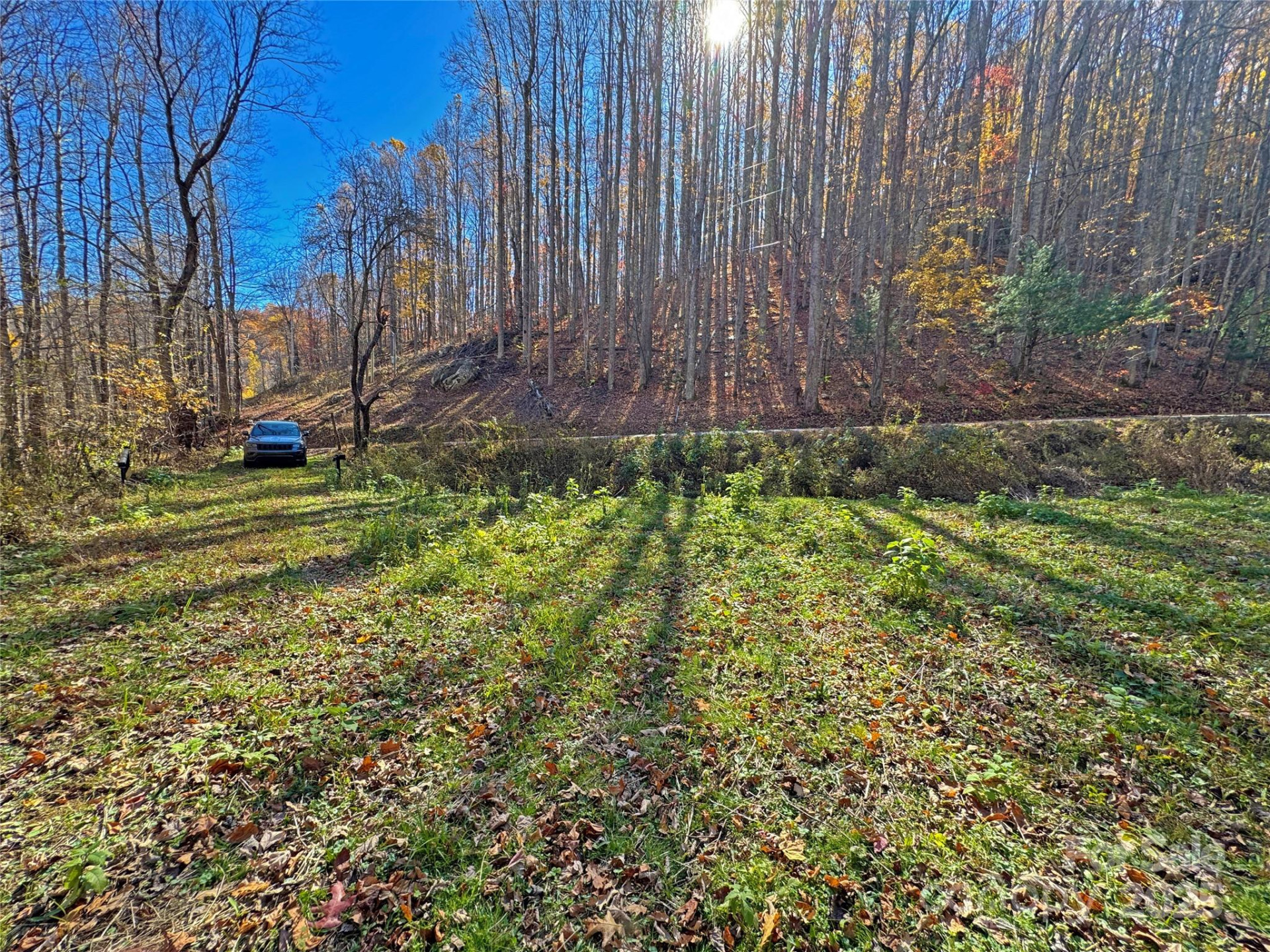 890 Panther Branch Road - Photo 8