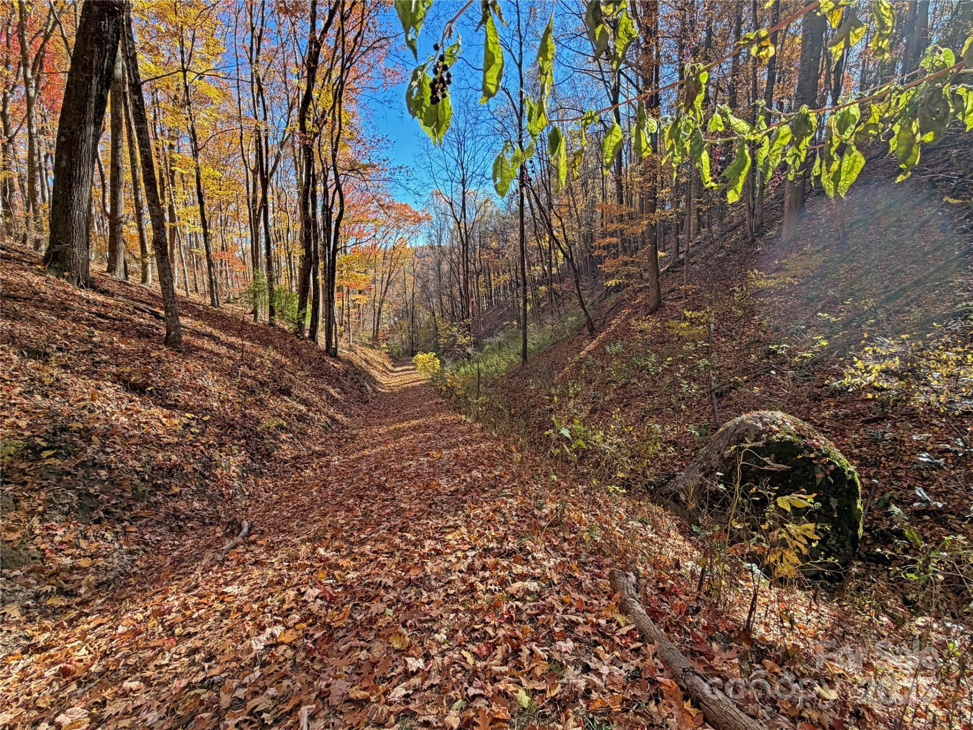 890 Panther Branch Road - Photo 10