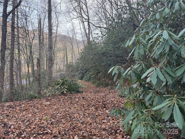 2664 NC Hwy 9 Highway