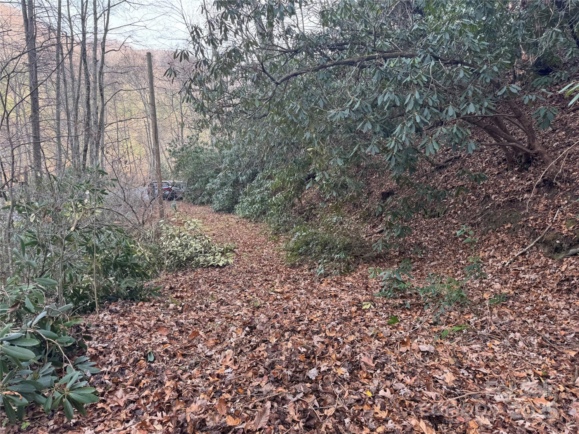 2664 NC Hwy 9 Highway - Photo 2