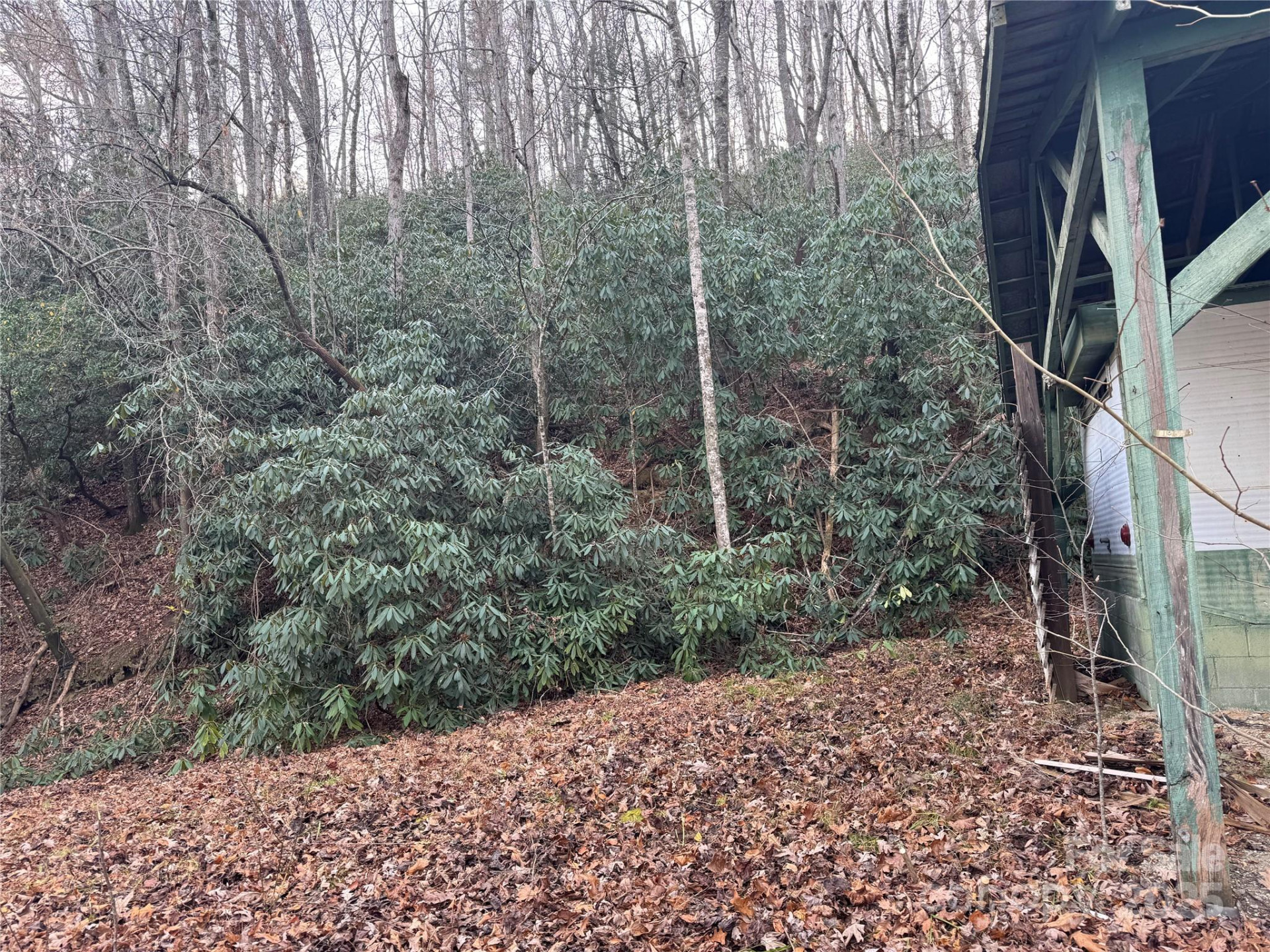 2664 NC Hwy 9 Highway - Photo 11