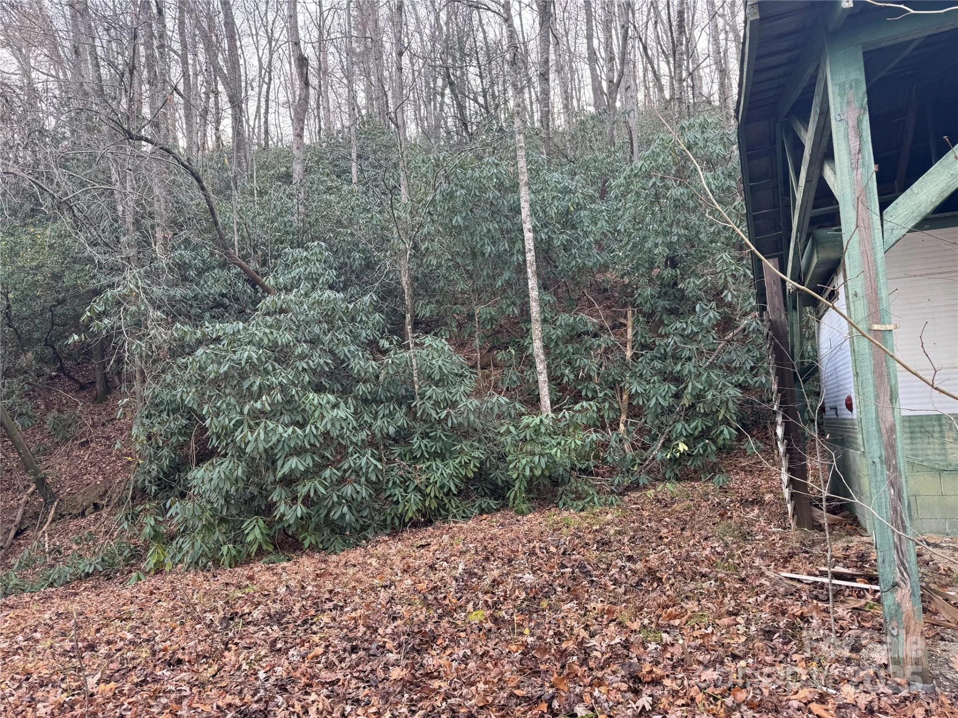 2664 NC Hwy 9 Highway - Photo 11