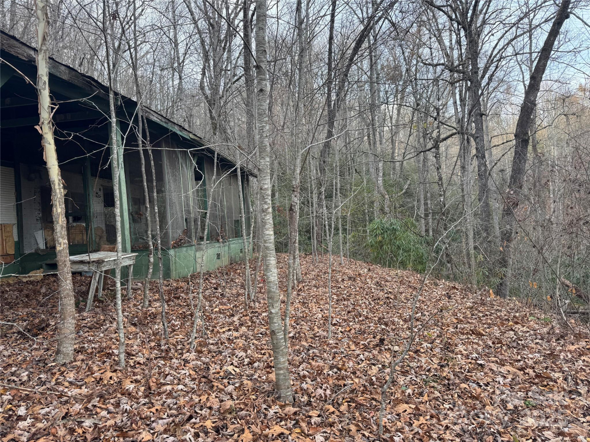 2664 NC Hwy 9 Highway - Photo 12