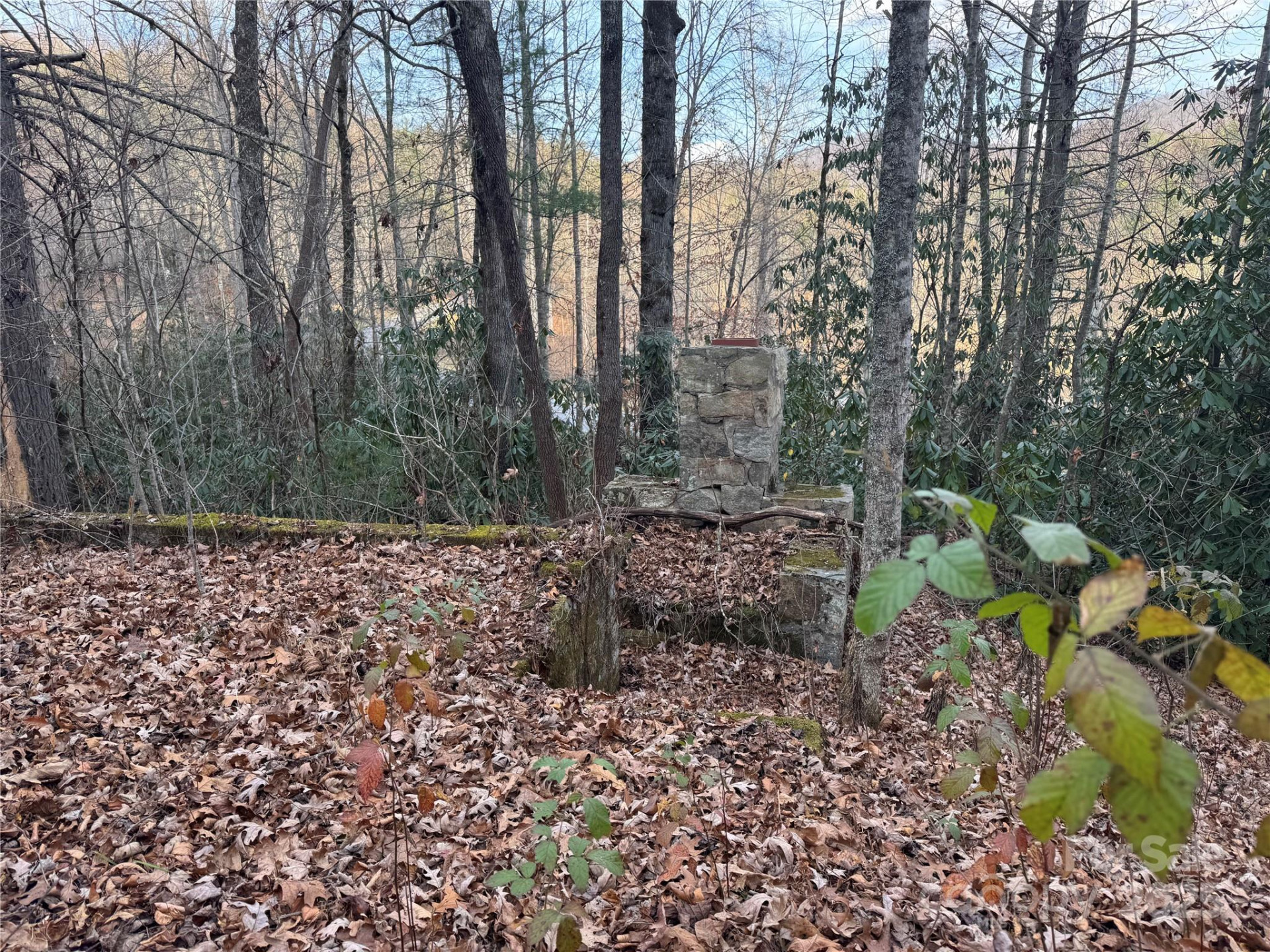 2664 NC Hwy 9 Highway - Photo 13