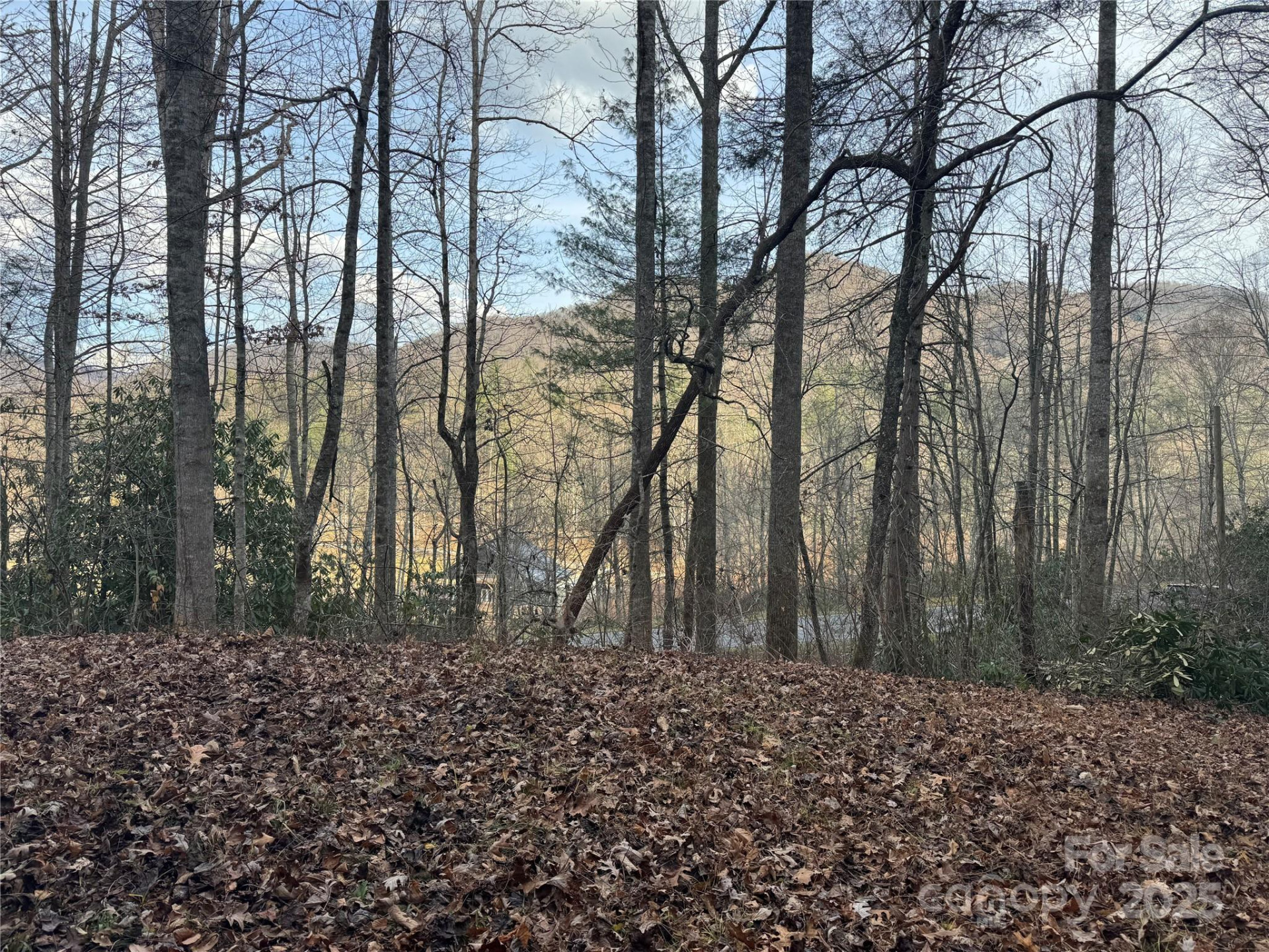 2664 NC Hwy 9 Highway - Photo 14