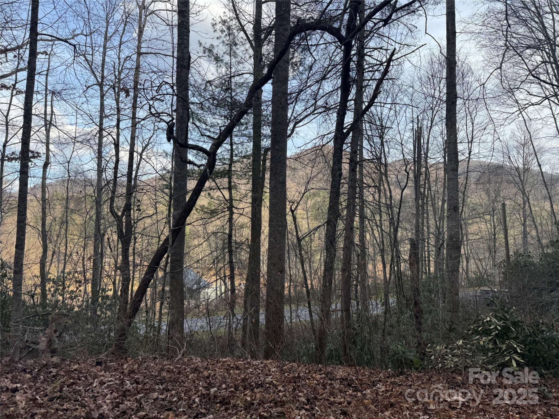 2664 NC Hwy 9 Highway - Photo 15