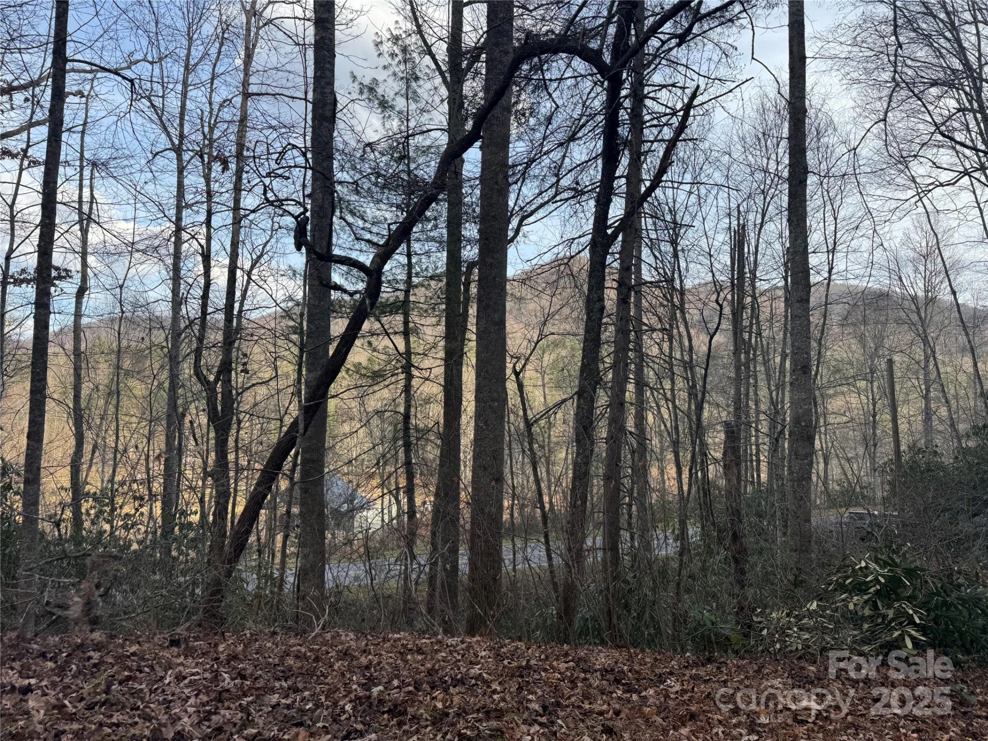 2664 NC Hwy 9 Highway - Photo 15